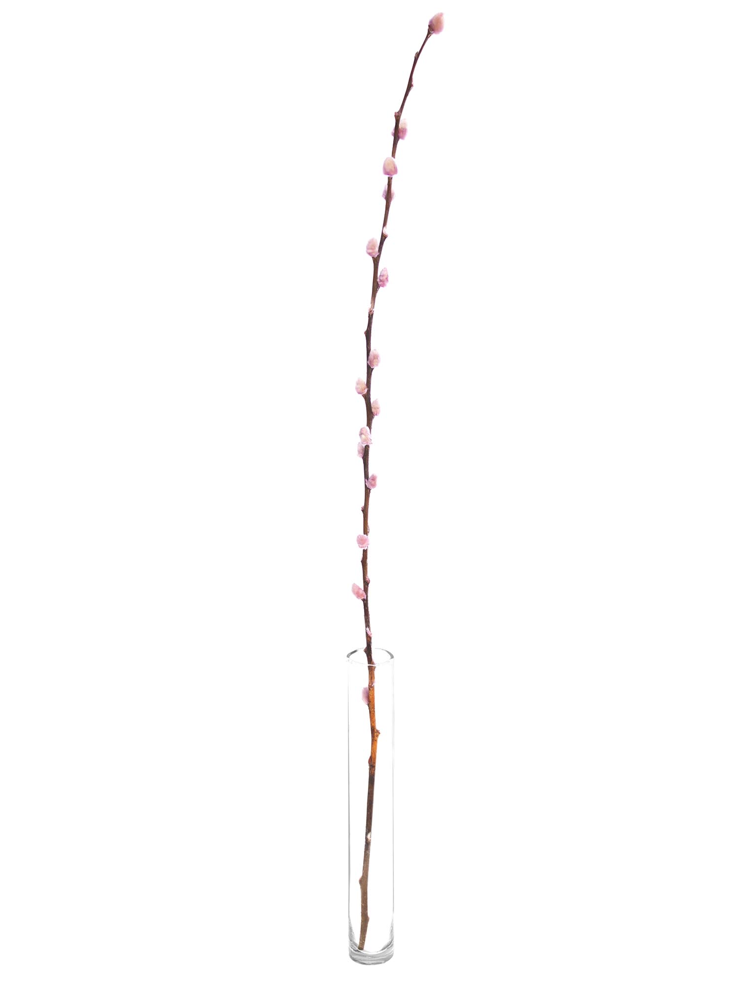 blumigo-weidenk-tzchen-zweige-bunt-eingef-rbt-deko image 7