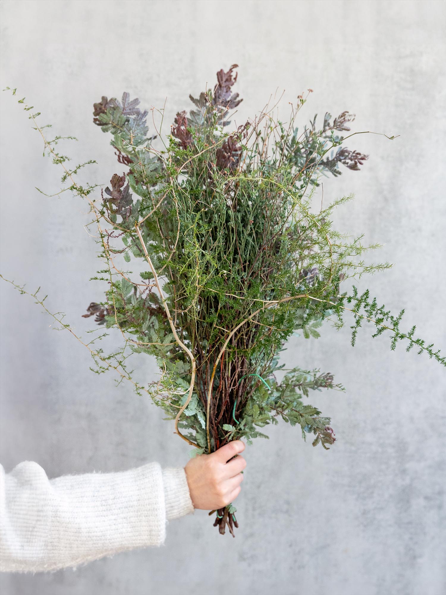 blumigo-asparagus-mimose-meets-asparagus-greenery-bund image 2