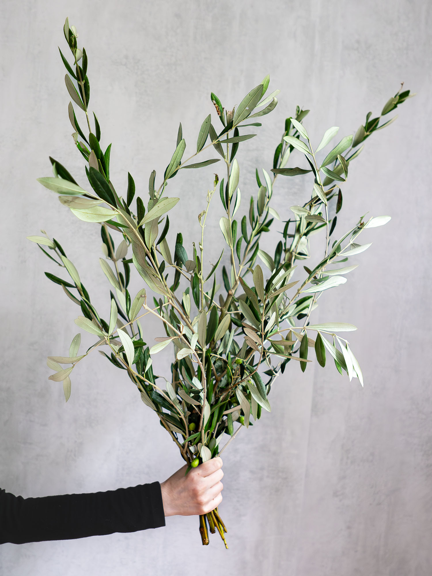 blumigo-exklusives-greenery-olivenzweige-bund-frisch-50-cm image 1