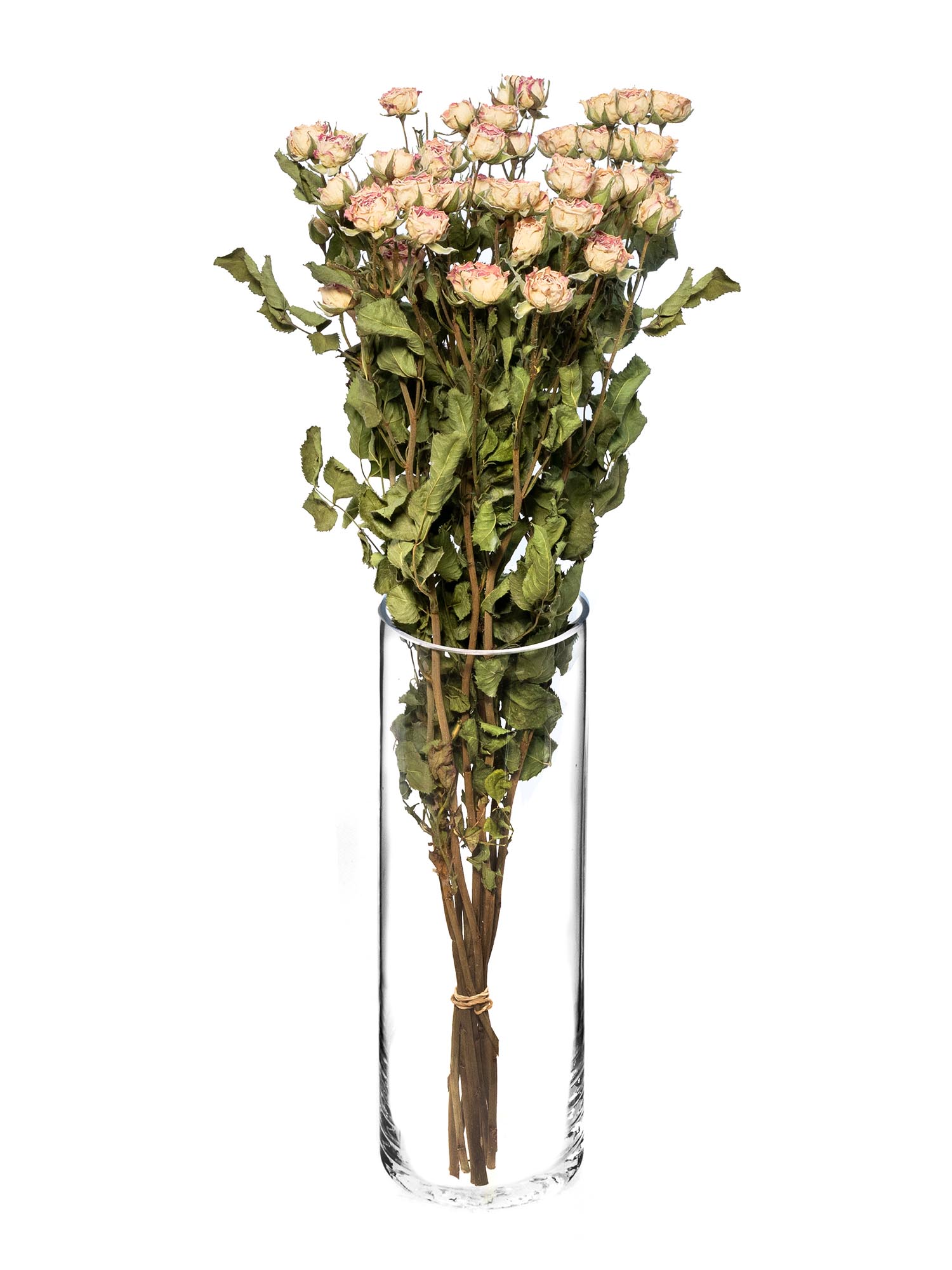 blumigo-trockenblumen-verzweigte-rosen-getrocknet-creme image 2