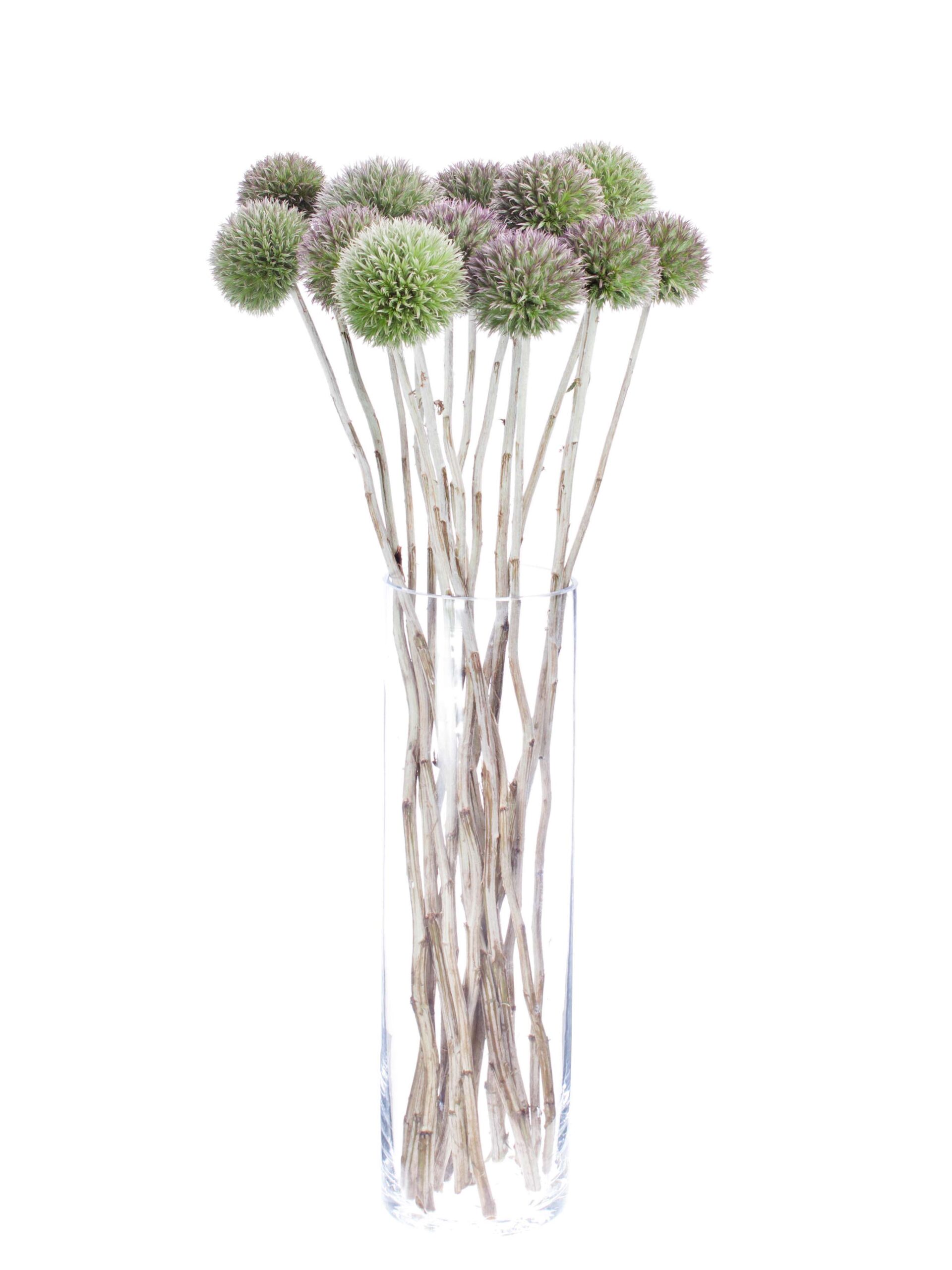 blumigo-disteln-kugeldisteln-grau-violett-schnittblume image 2