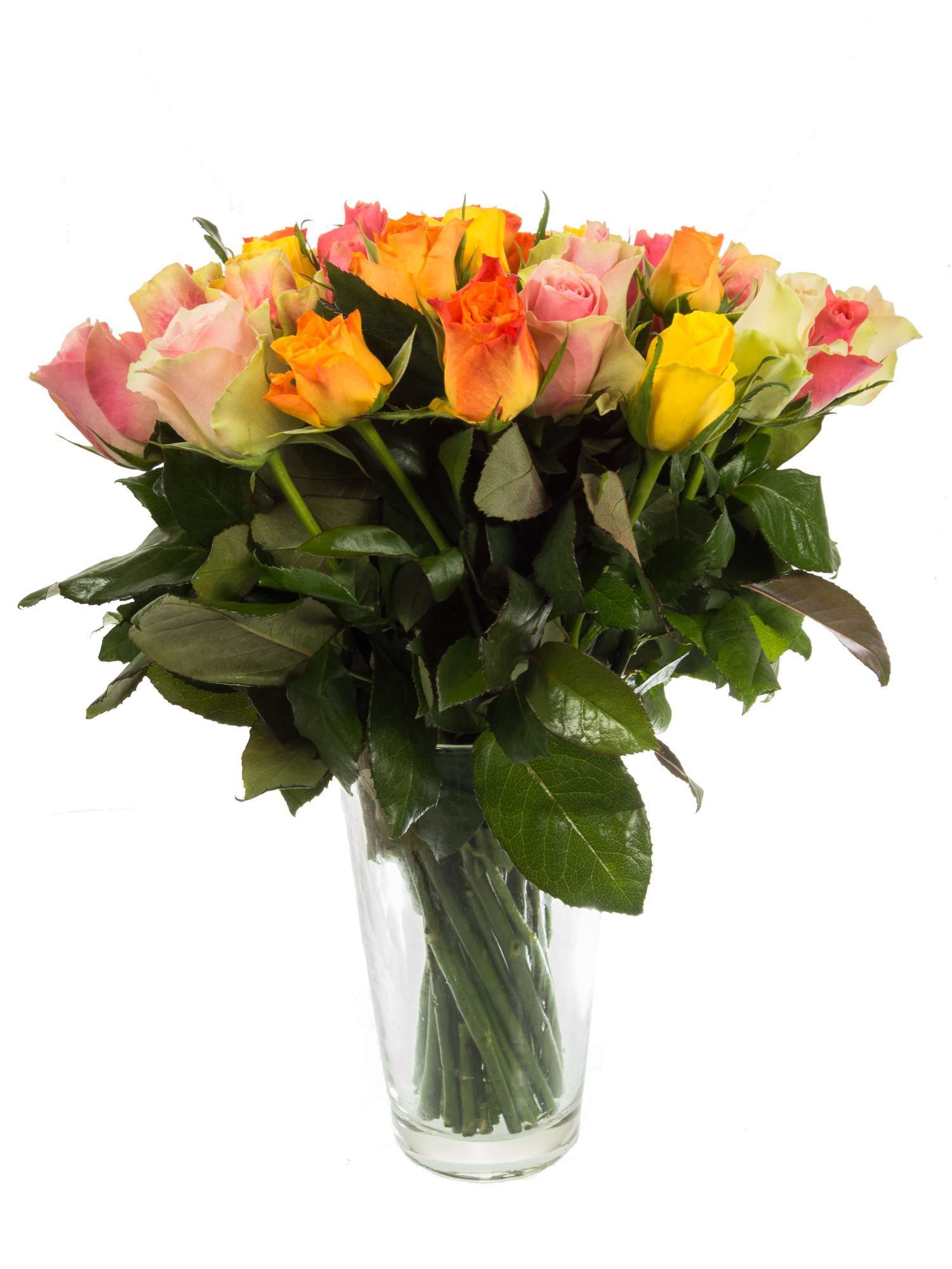blumigo-rosen-bunte-mischung-schnittrosen-farbmix image 3