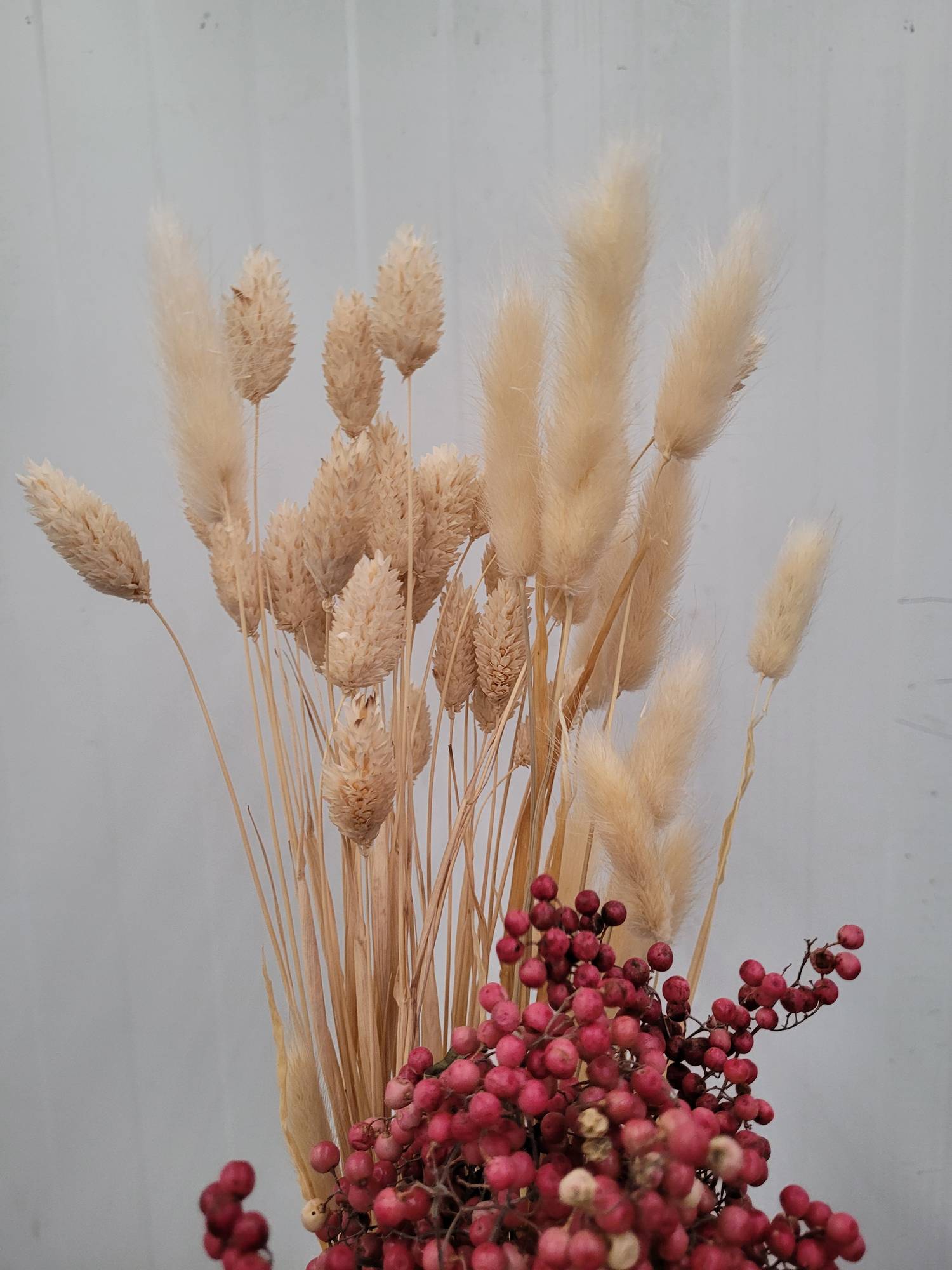 blumigo-trockenblumenmischung-lagurus-phalaris-pfefferbeeren image 2
