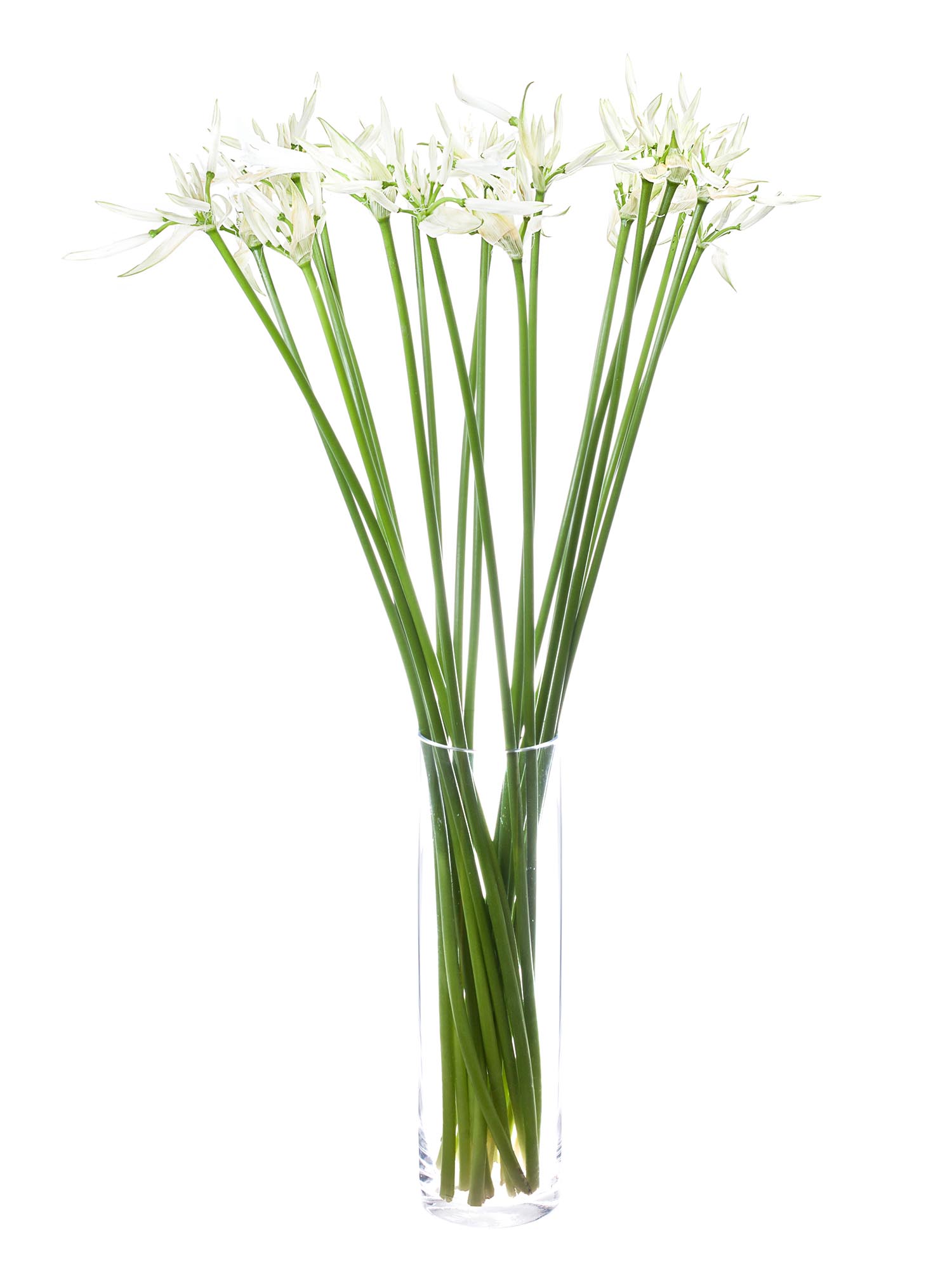 blumigo-nerine-white-charm-guernseylilie-wei image 2