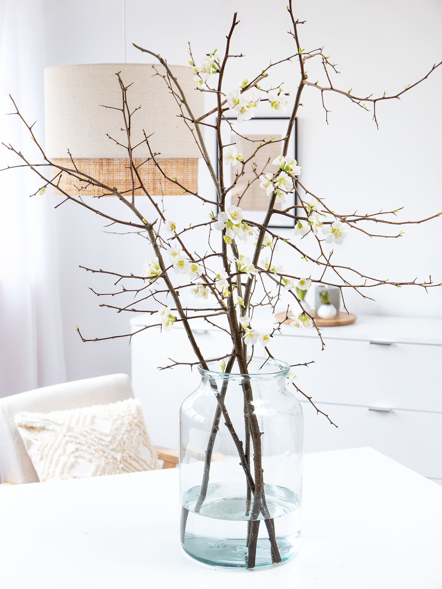 blumigo-zweige-quittenzweige-chaenomeles-wei image 2
