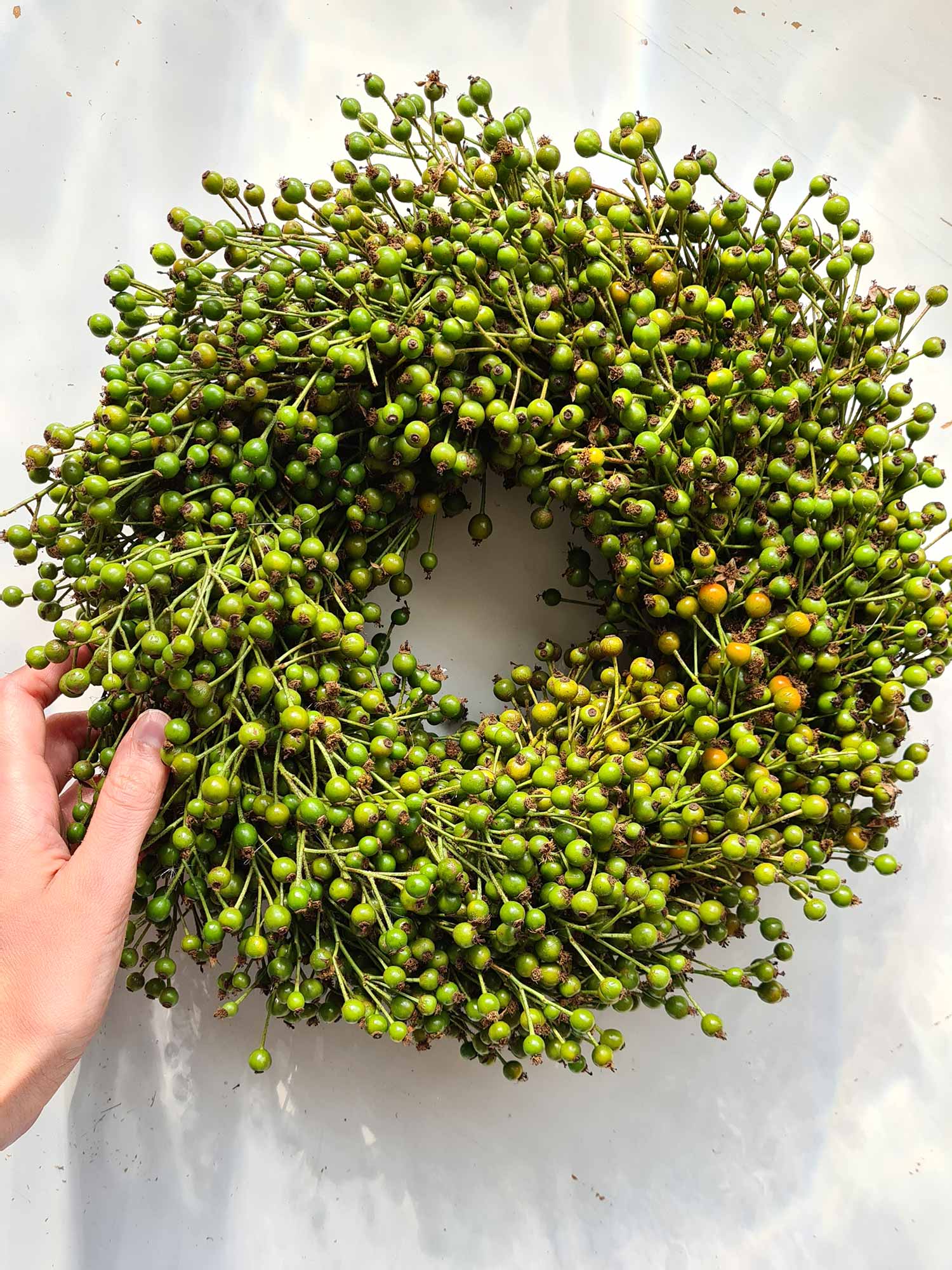 blumigo-herbstdeko-hagebuttenkranz-corallo-30-cm-t-rkranz image 1