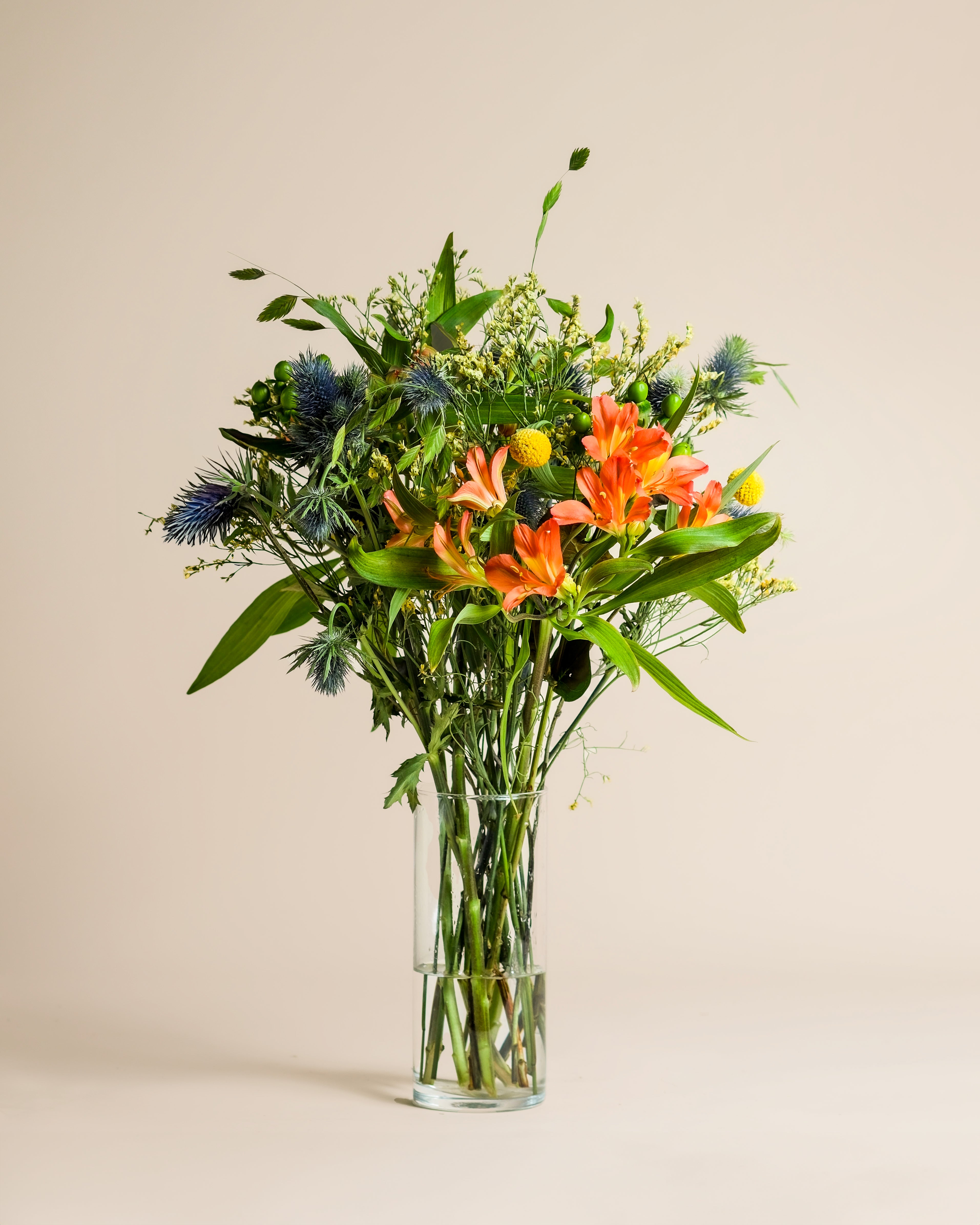 feey-rilio-erfolgsgeheimnis-blumenstrauss-gelb-craspedia image 5