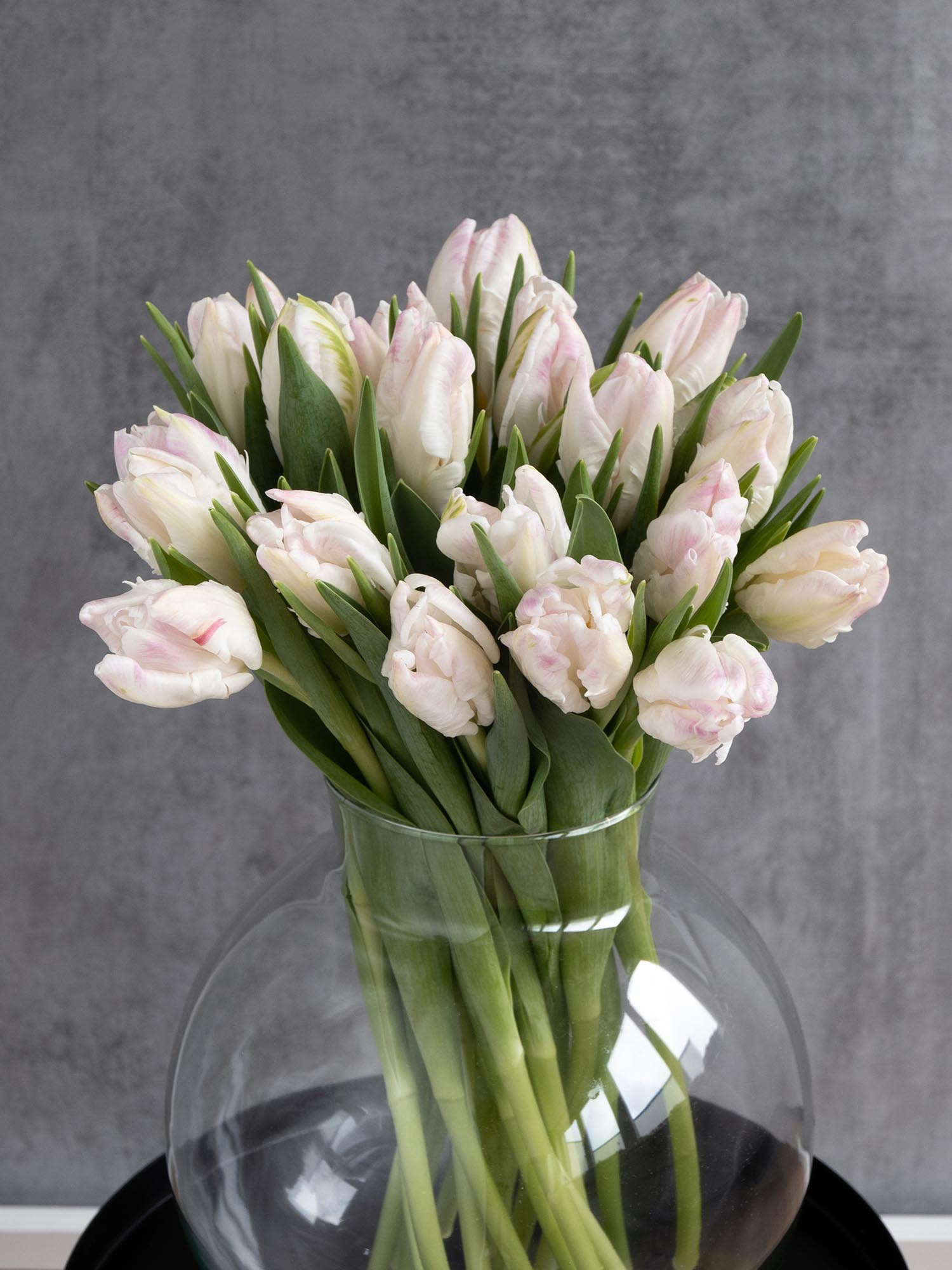 blumigo-tulpen-papagei-cabanna-schnittblumen-rosa-wei image 4