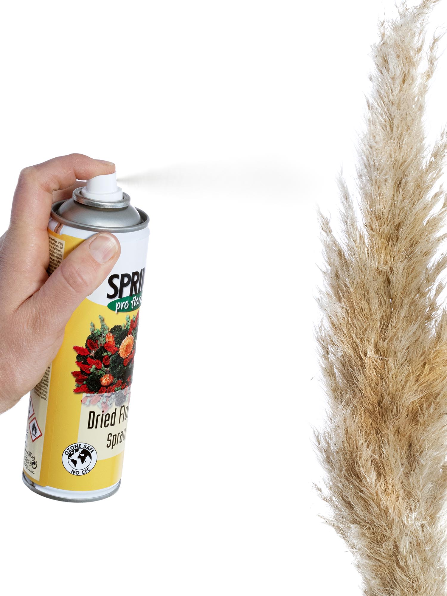 blumigo-blumenpflege-trockenblumenspray-fixierend-frischer-duft image 2
