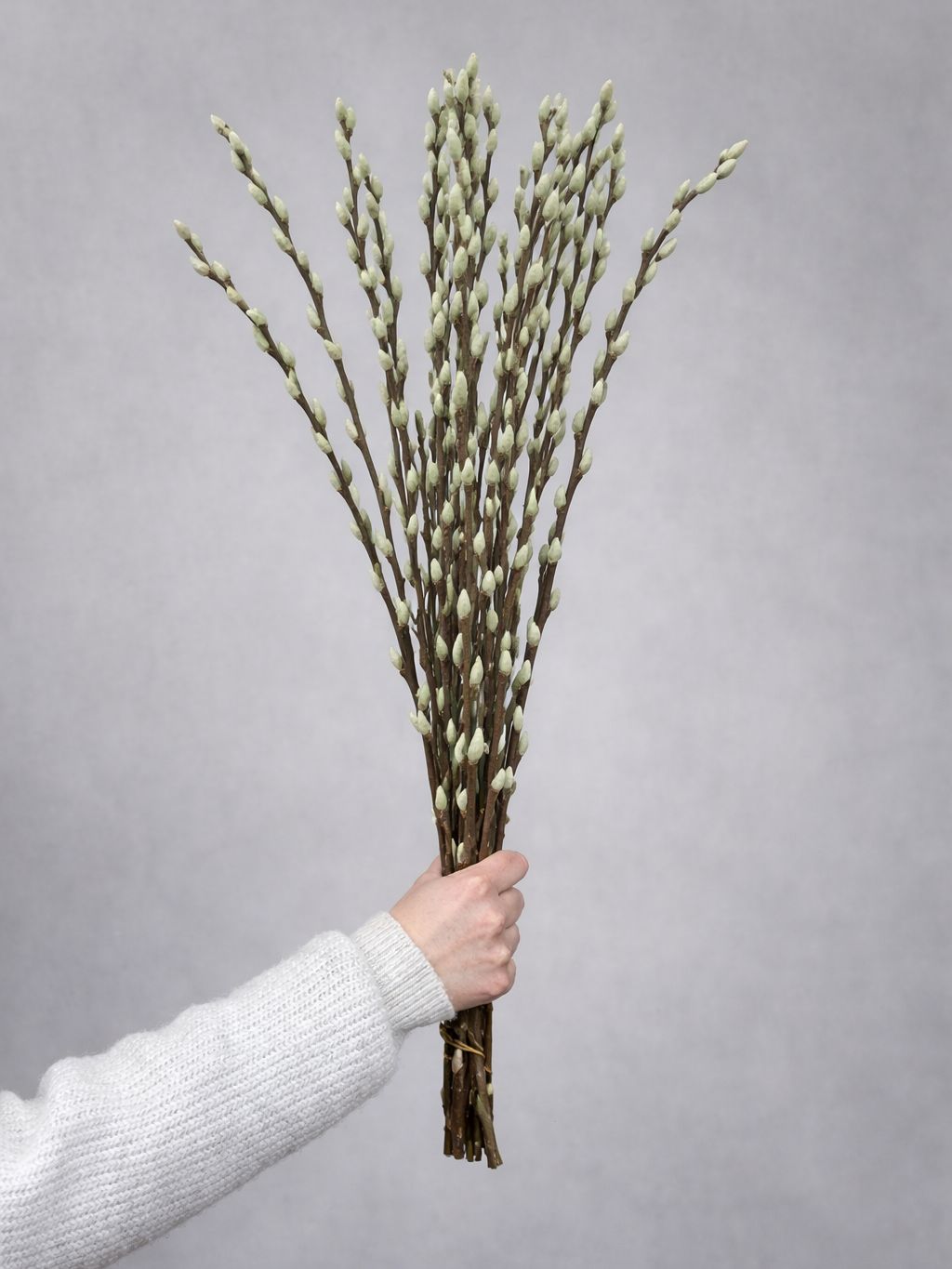 blumigo-weidenk-tzchen-gef-rbt-mintgr-n-zweige image 1