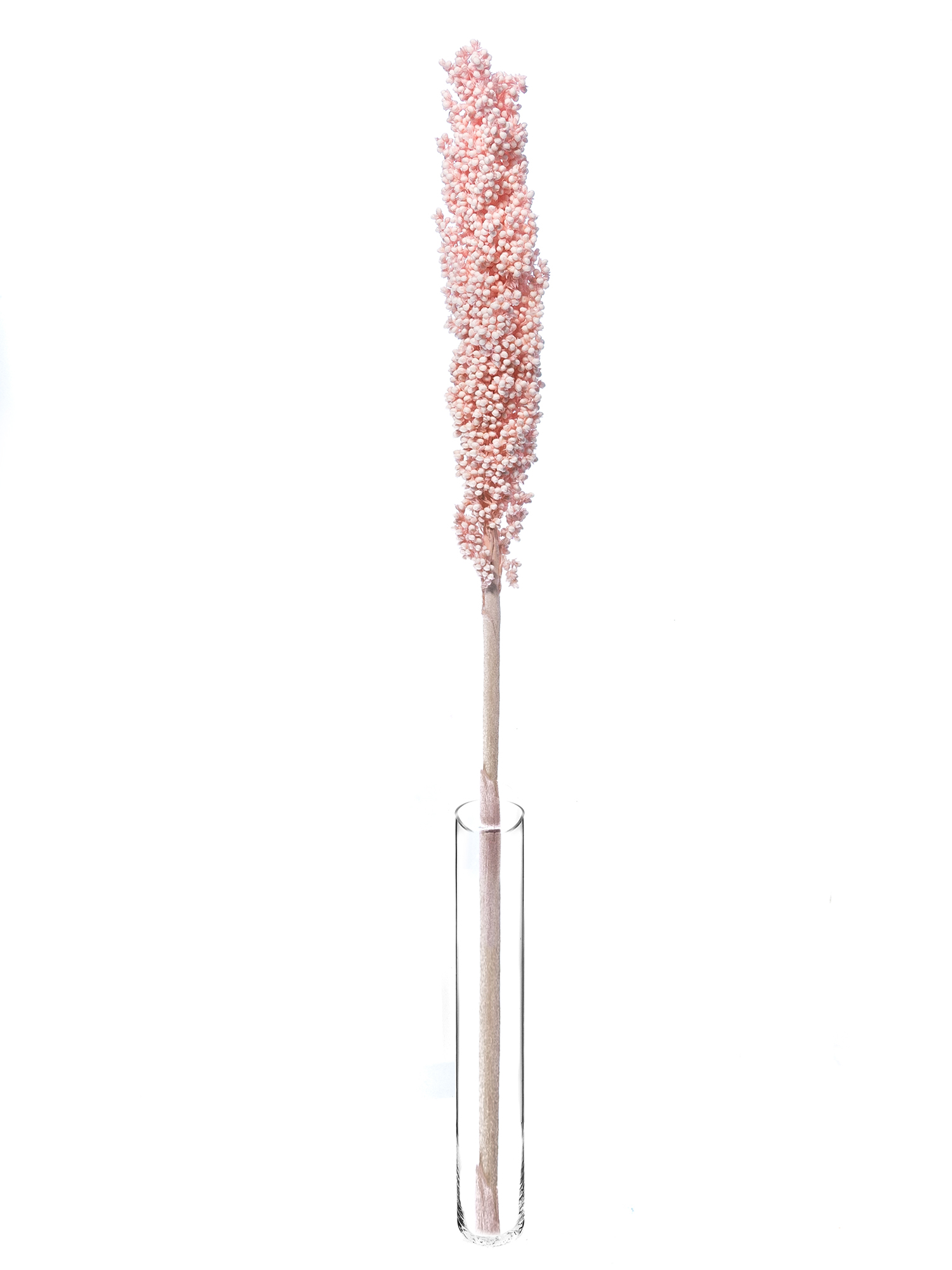 blumigo-trockenblumen-sorghumhirse-trockengras-rosa image 4