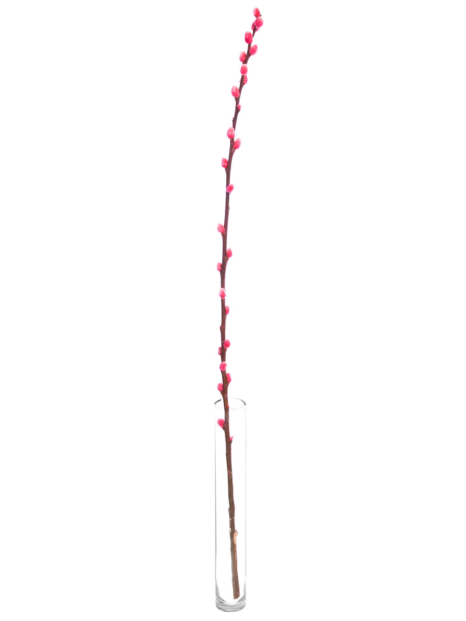 blumigo-weidenk-tzchen-zweige-bunt-eingef-rbt-deko image 5