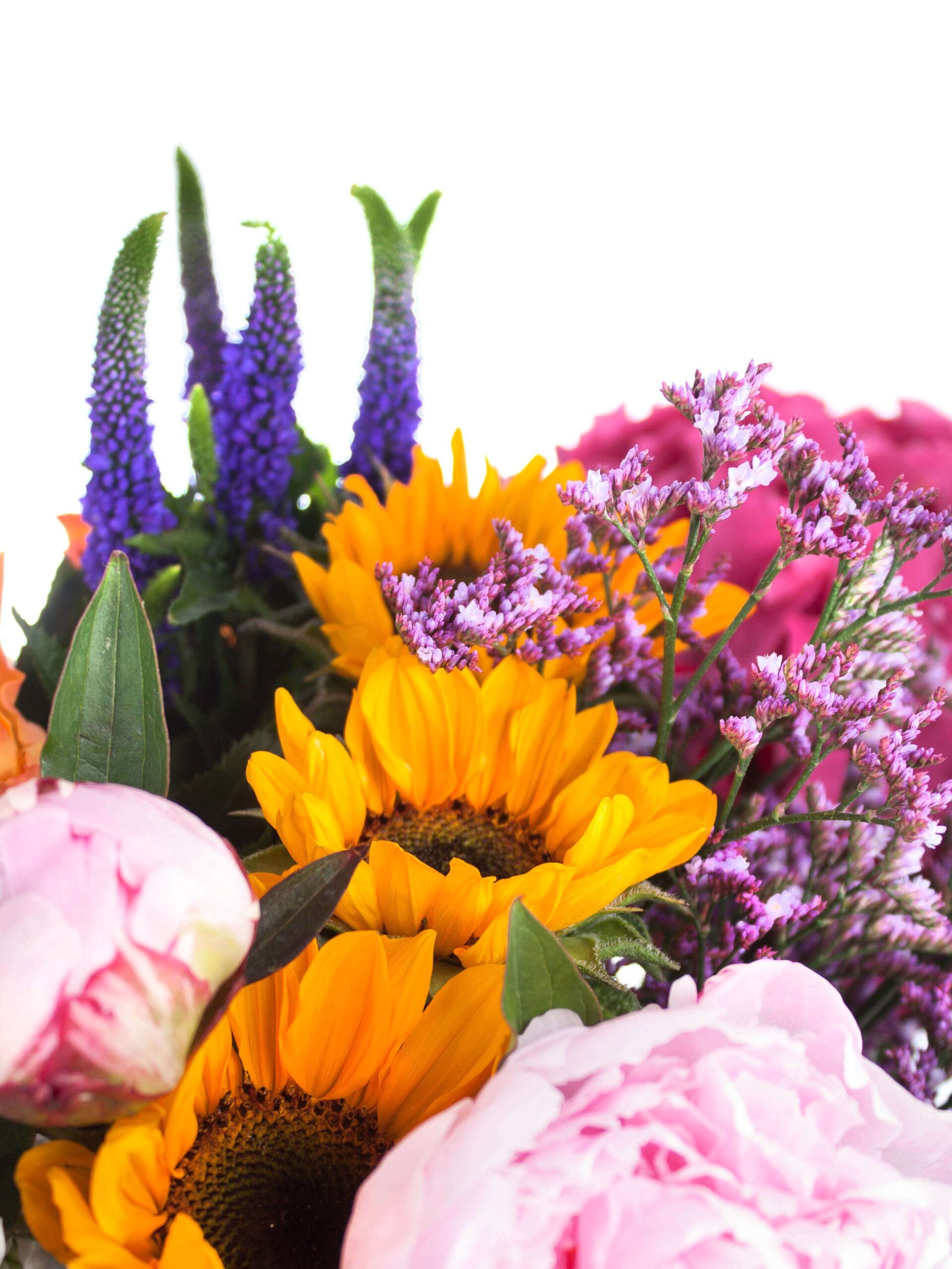 blumigo-basic-color-mix-blumenmischung-bunte-farben image 6