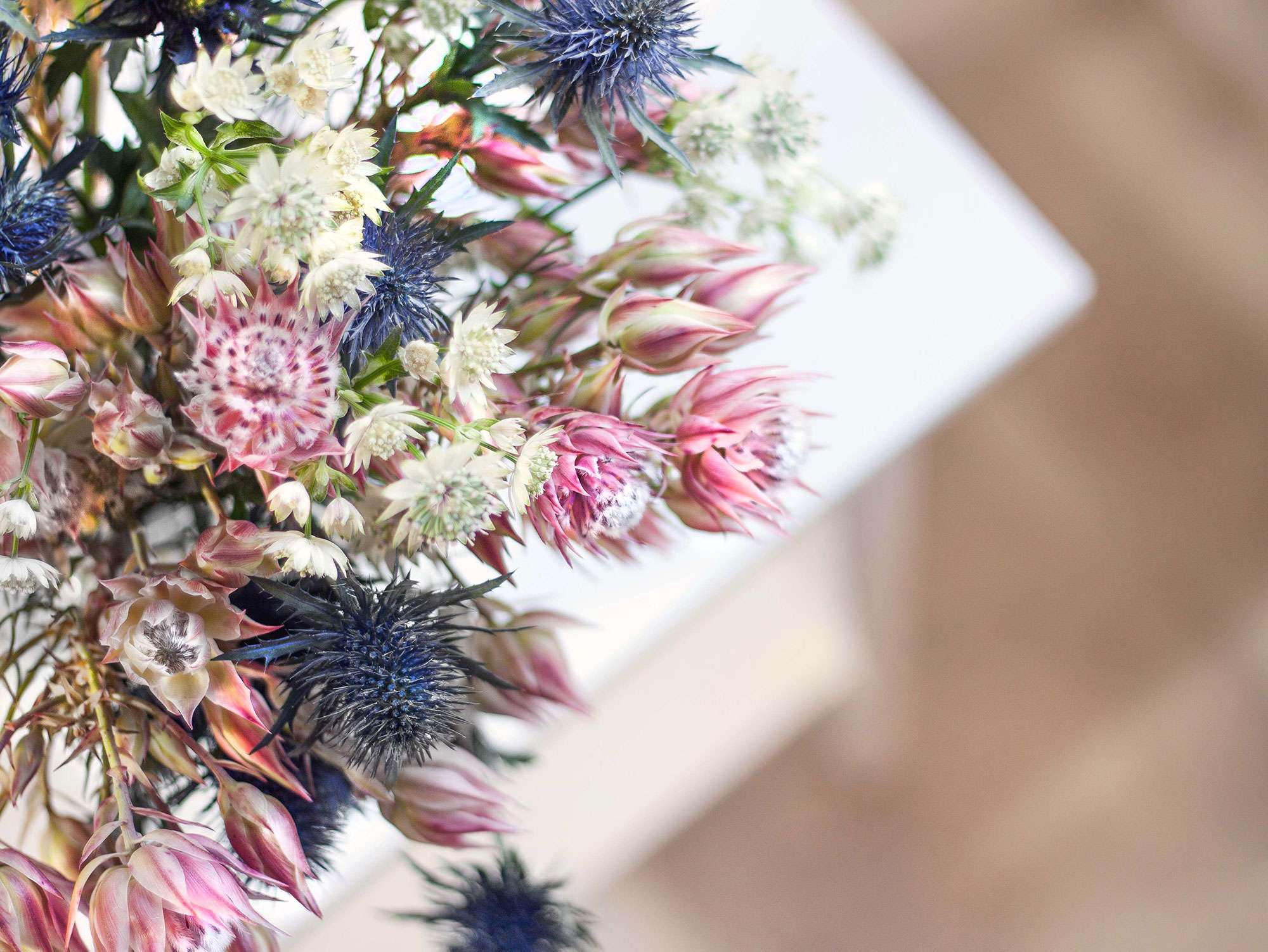 blumigo-proteen-blushing-bride-bouquet-blumenstrau-wei image 2