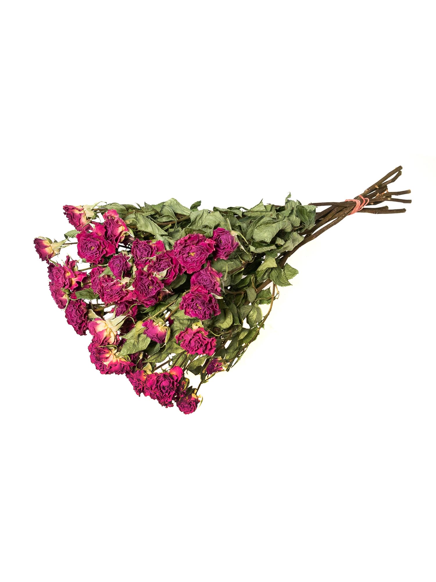 blumigo-trockenblumen-verzweigte-rosen-violett image 4