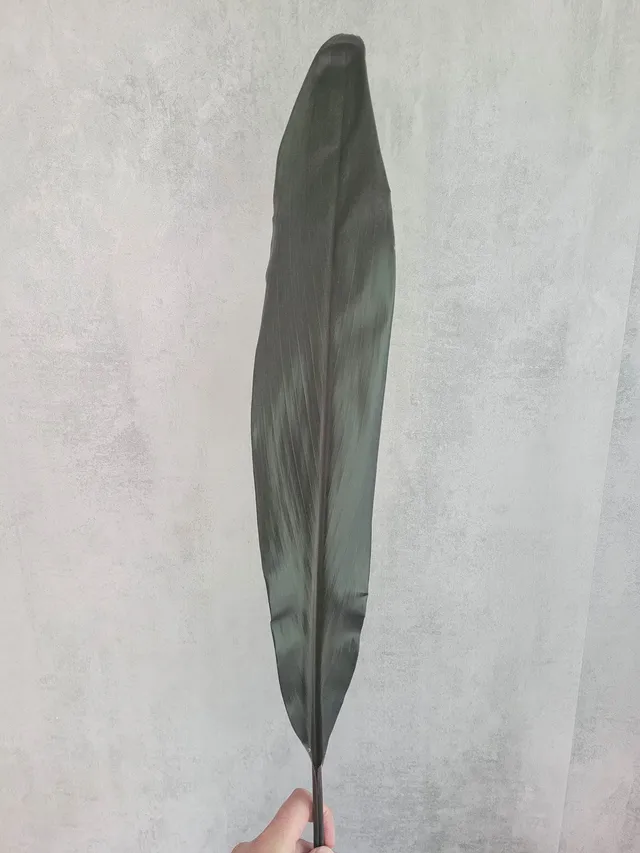 blumigo-blattwerk-und-bindegr-n-cordyline-black-tie-schnittgr-n-schwarz image 1