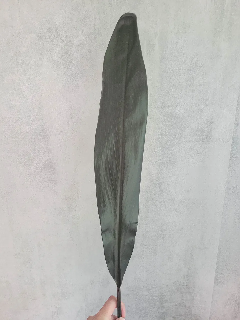 blumigo-blattwerk-und-bindegr-n-cordyline-black-tie-schnittgr-n-schwarz image 1