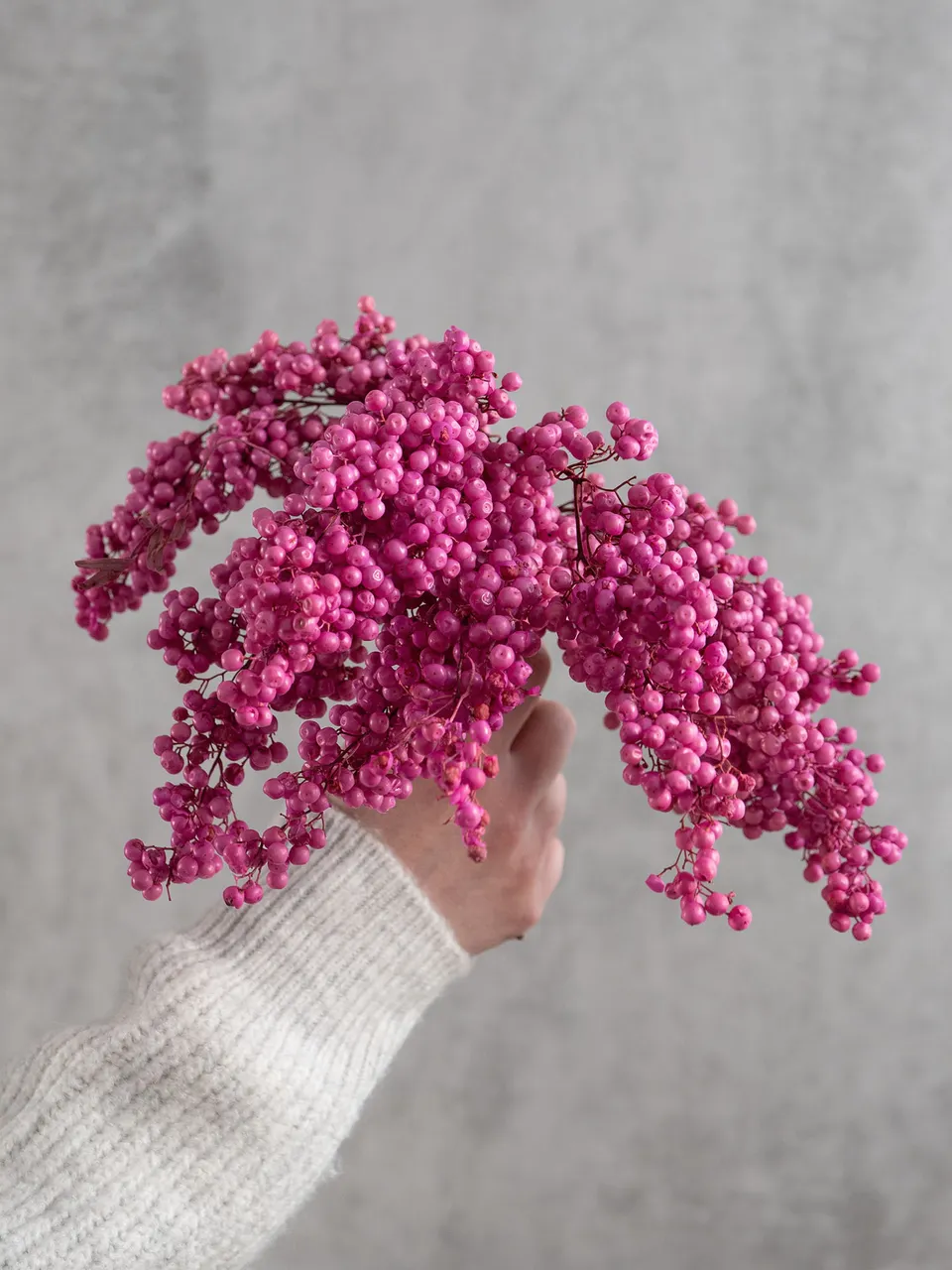 blumigo-trockenblumen-pfefferbeeren-getrocknet-painted-rosa image 1