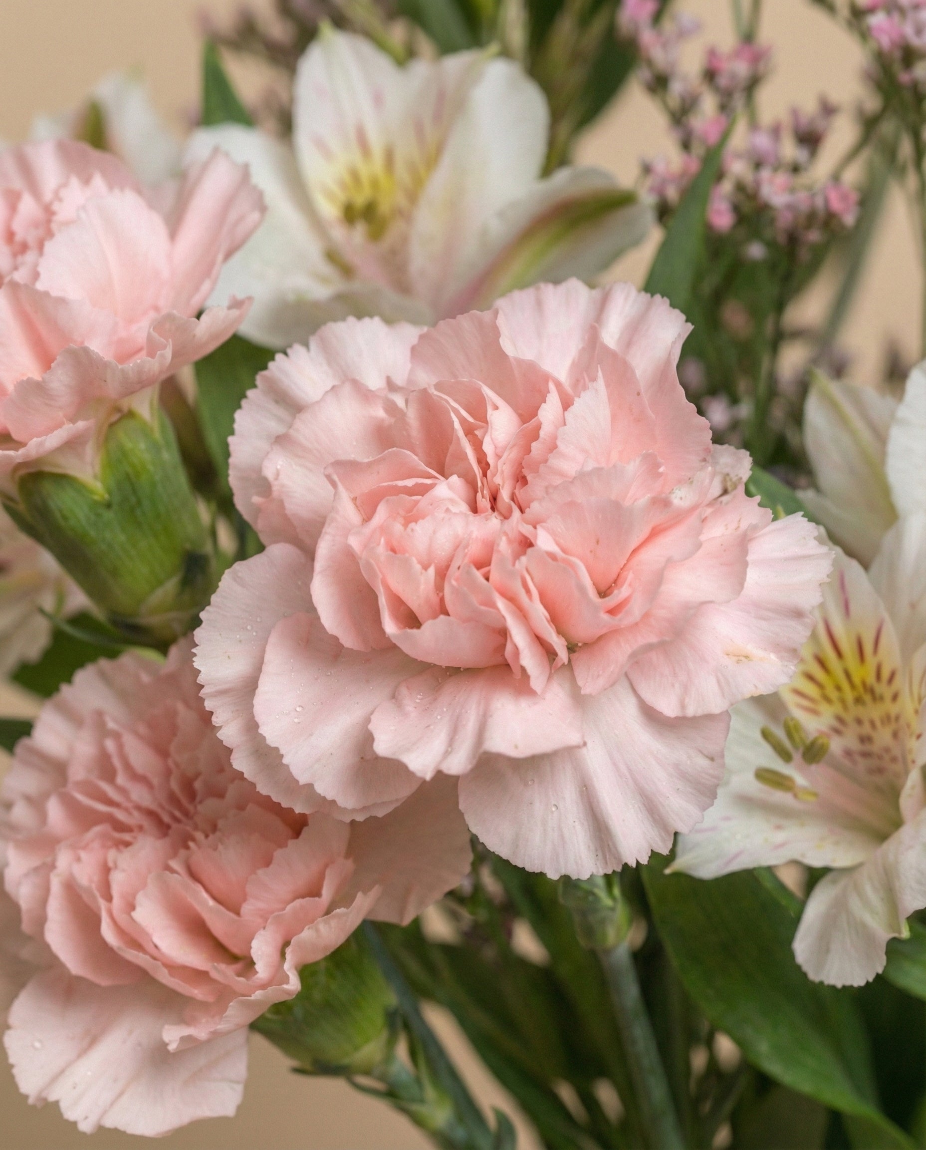 feey-rilio-umarmung-blumenstrau-classic-alstroemeria image 2