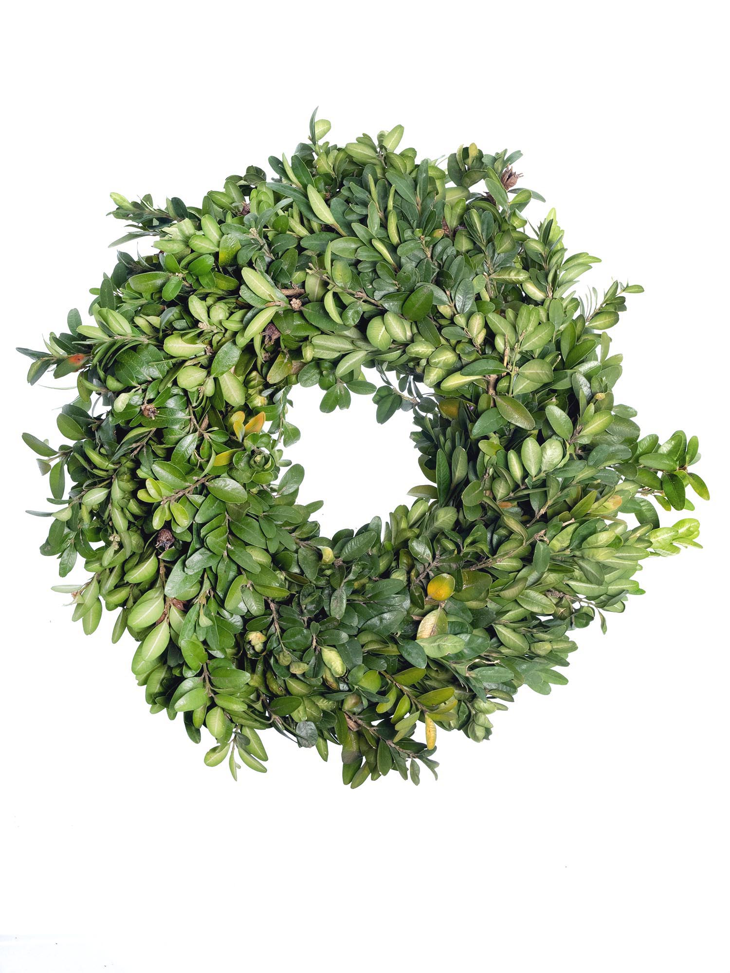 blumigo-blattwerk-buchsbaumkranz-30-cm-t-rkranz image 2