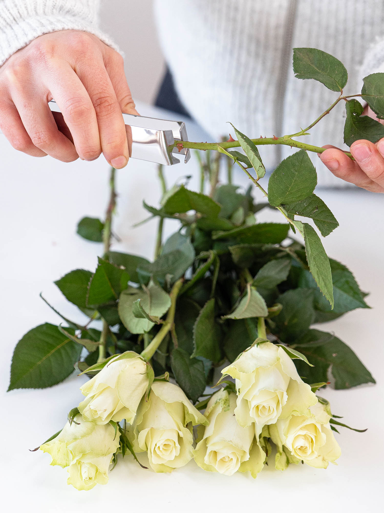 blumigo-blumenpflege-entdorner-einfache-ausf-hrung image 2