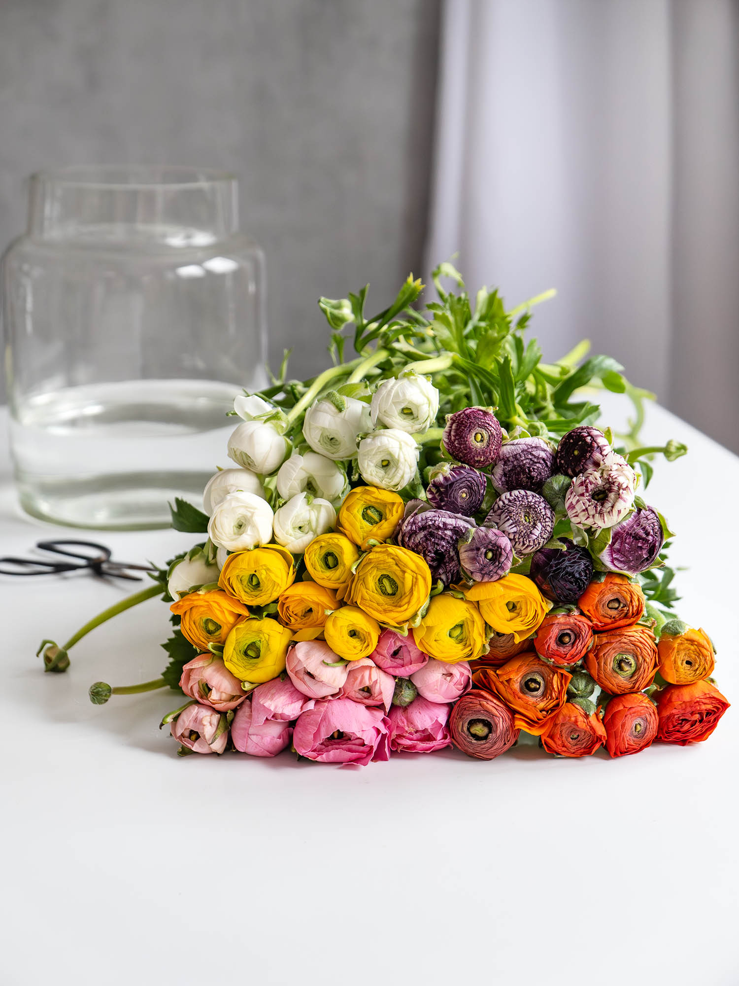 blumigo-berraschungsmix-50-ranunkeln-schnittblumen-mix image 2