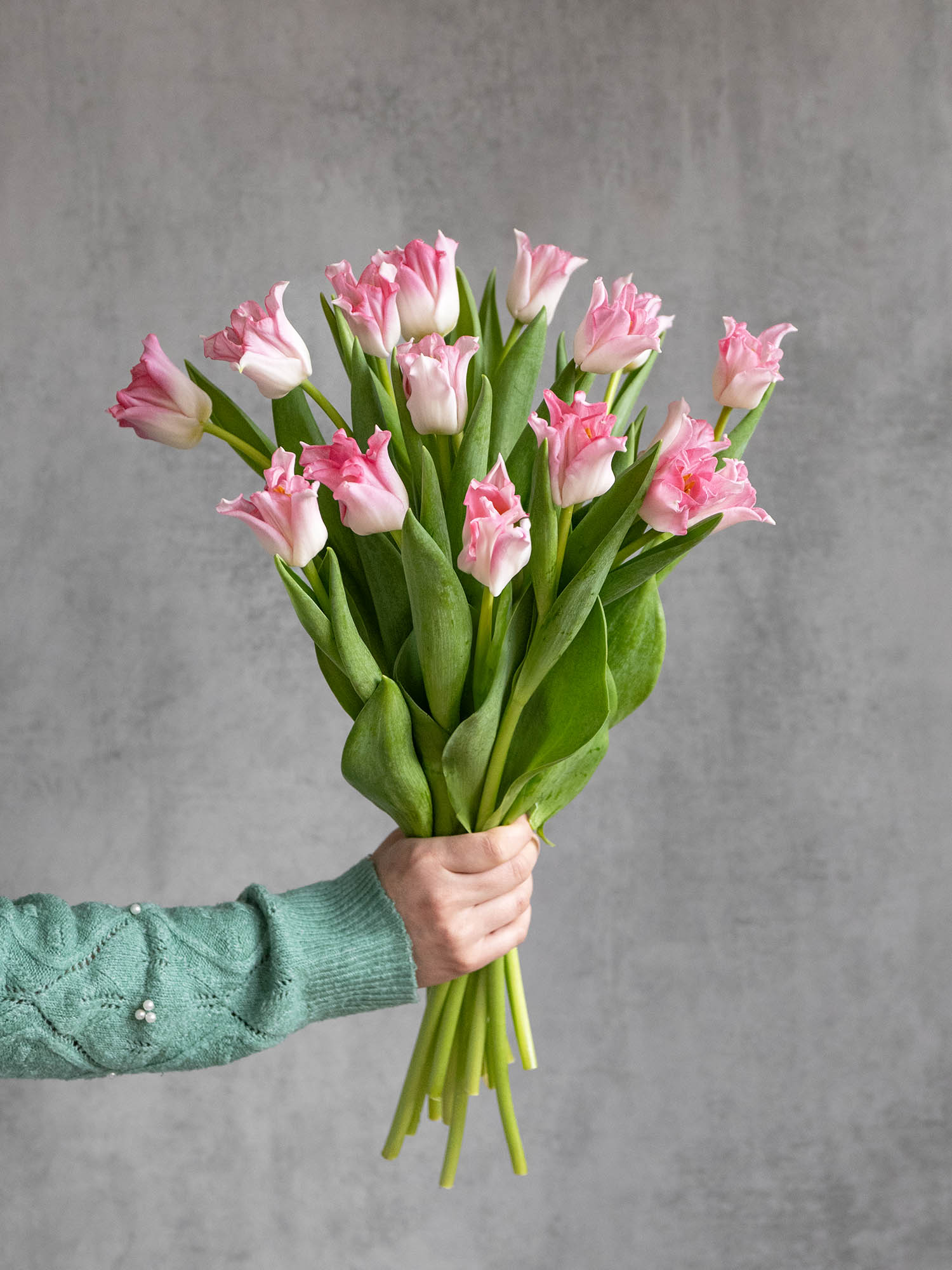 blumigo-tulpen-crown-of-dynasty-schnittblumen-rosa-kelchf-rmig image 2