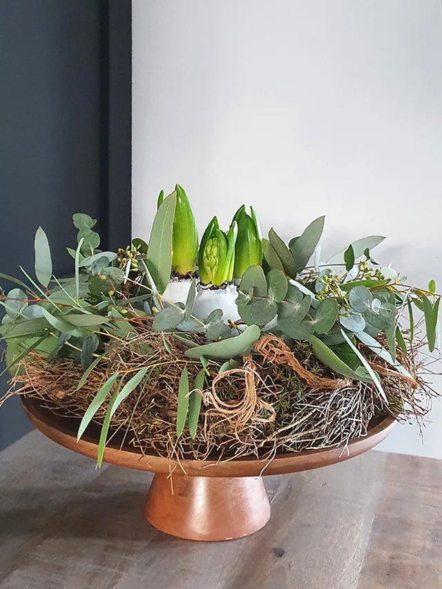 blumigo-euphorbia-spinosa-winterkranz-30-cm-diy-set image 1