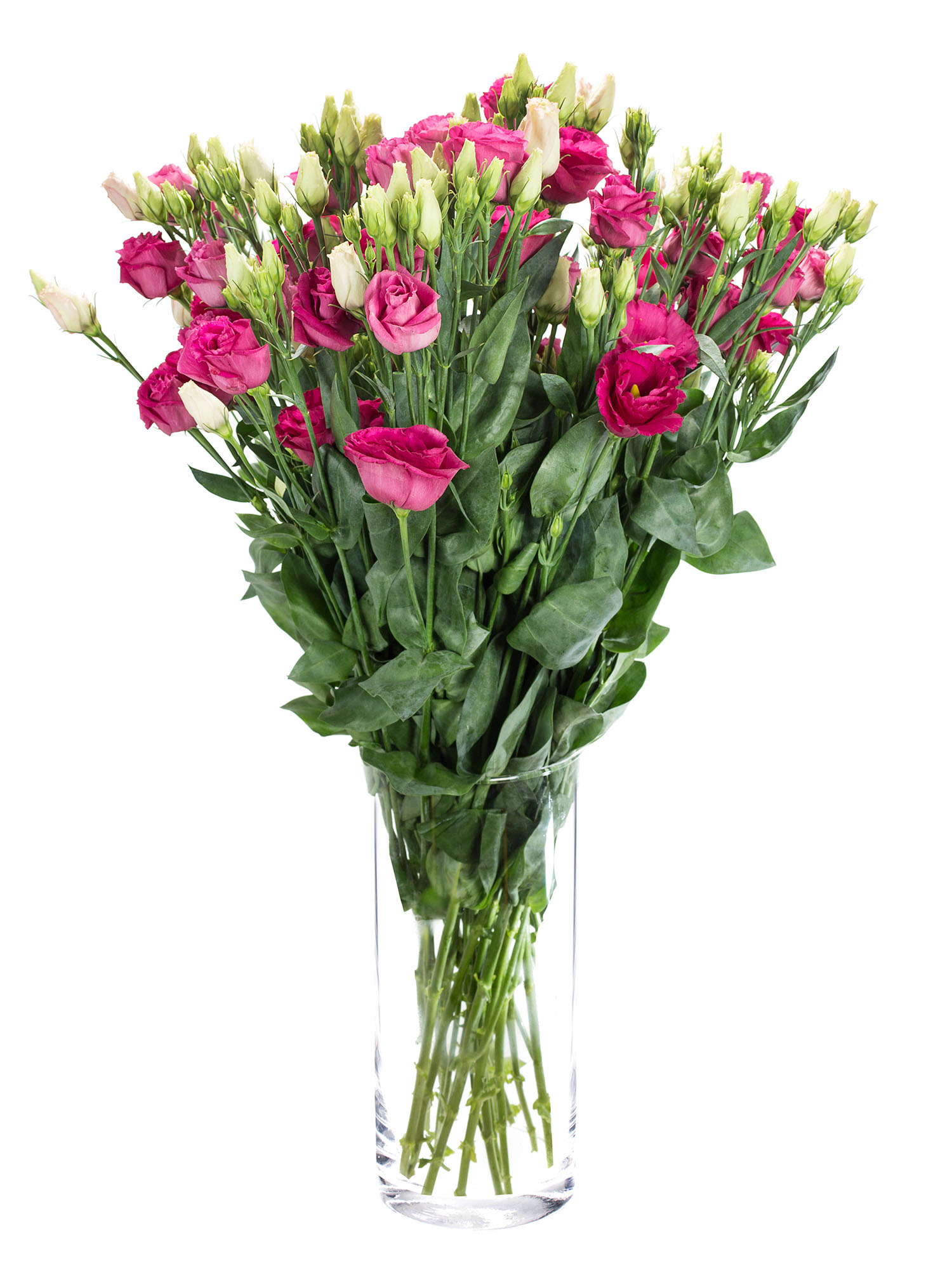 blumigo-lisianthus-eustoma-rosita-red-schnittblume-pink image 2