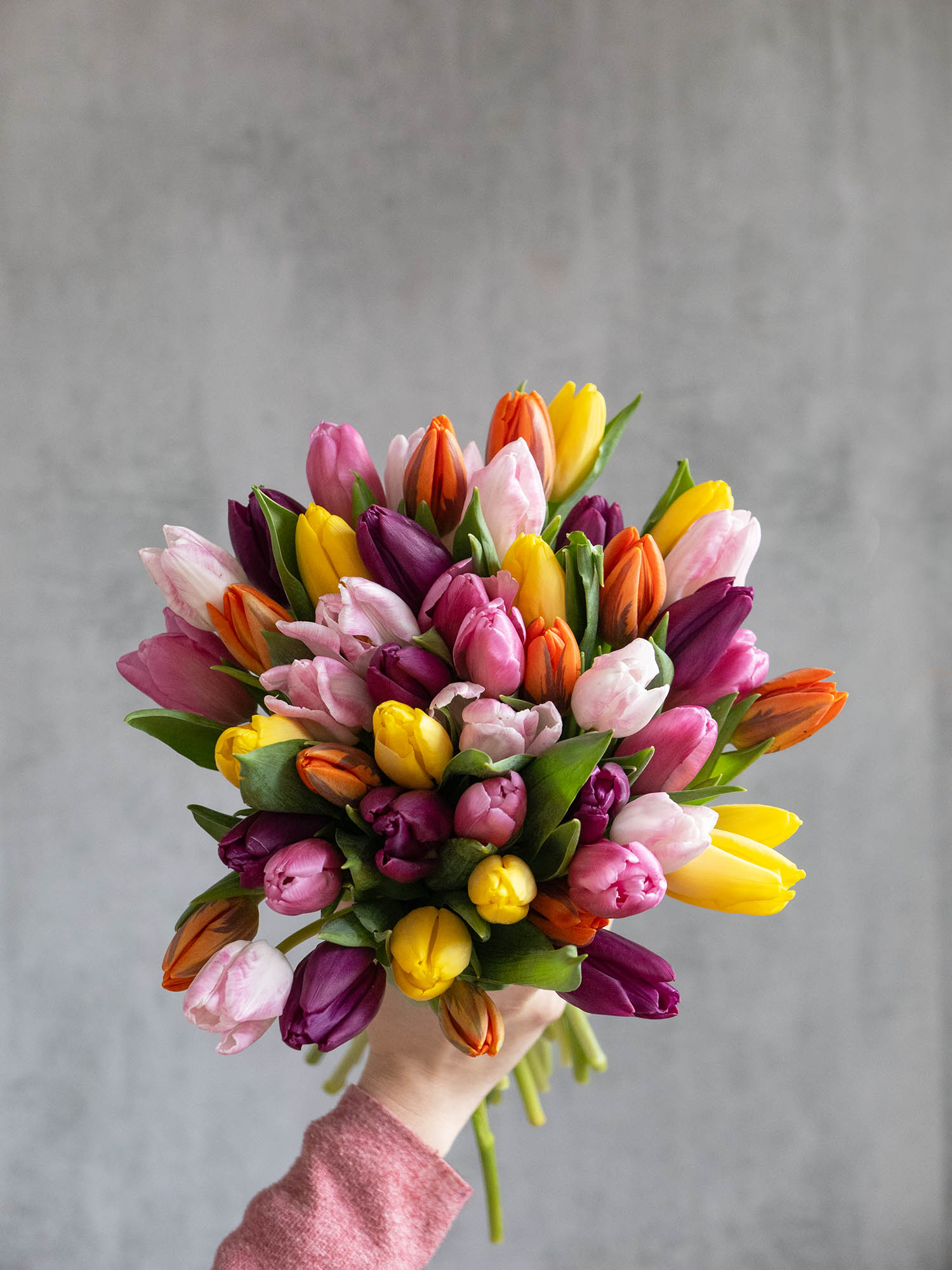 blumigo-berraschungsmix-50-tulpen-schnittblumen-bunt image 5
