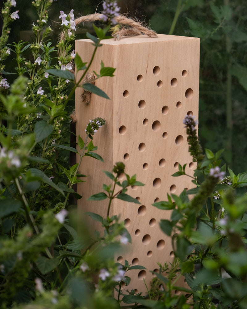 feey-lumi-insektenhotel-erbienbi-bienenhotel-kiefernholz image 5