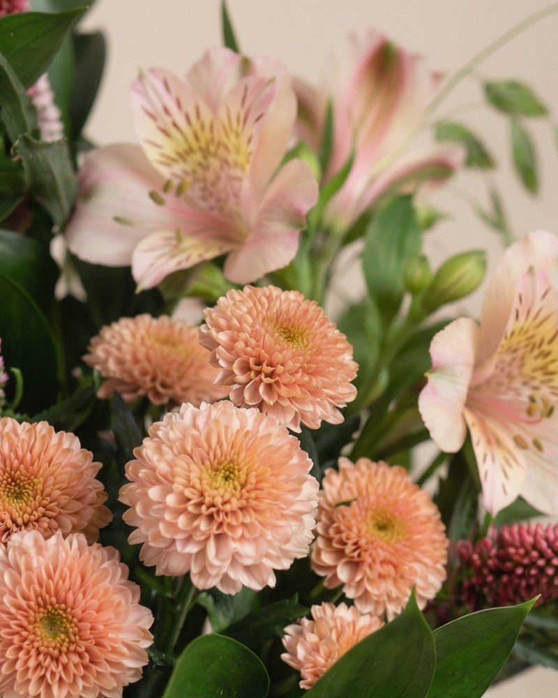 feey-rilio-wilde-seele-blumenstrau-pink-classic-nelken image 7