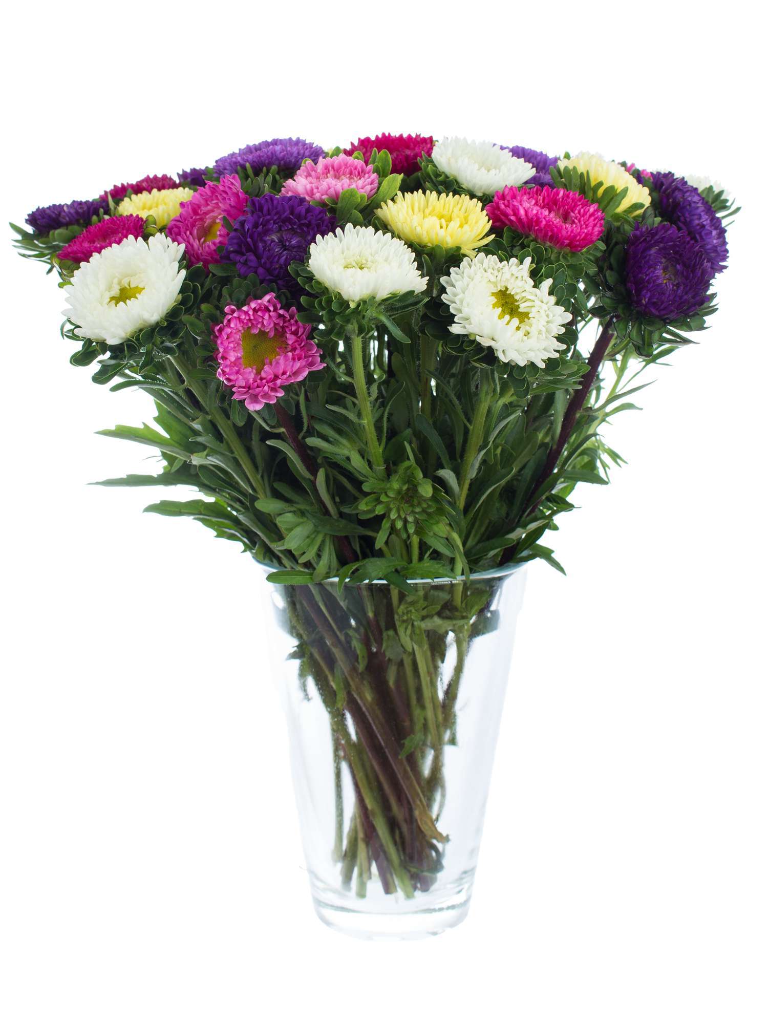 blumigo-sommerastern-bunte-mischung-schnittblume image 2