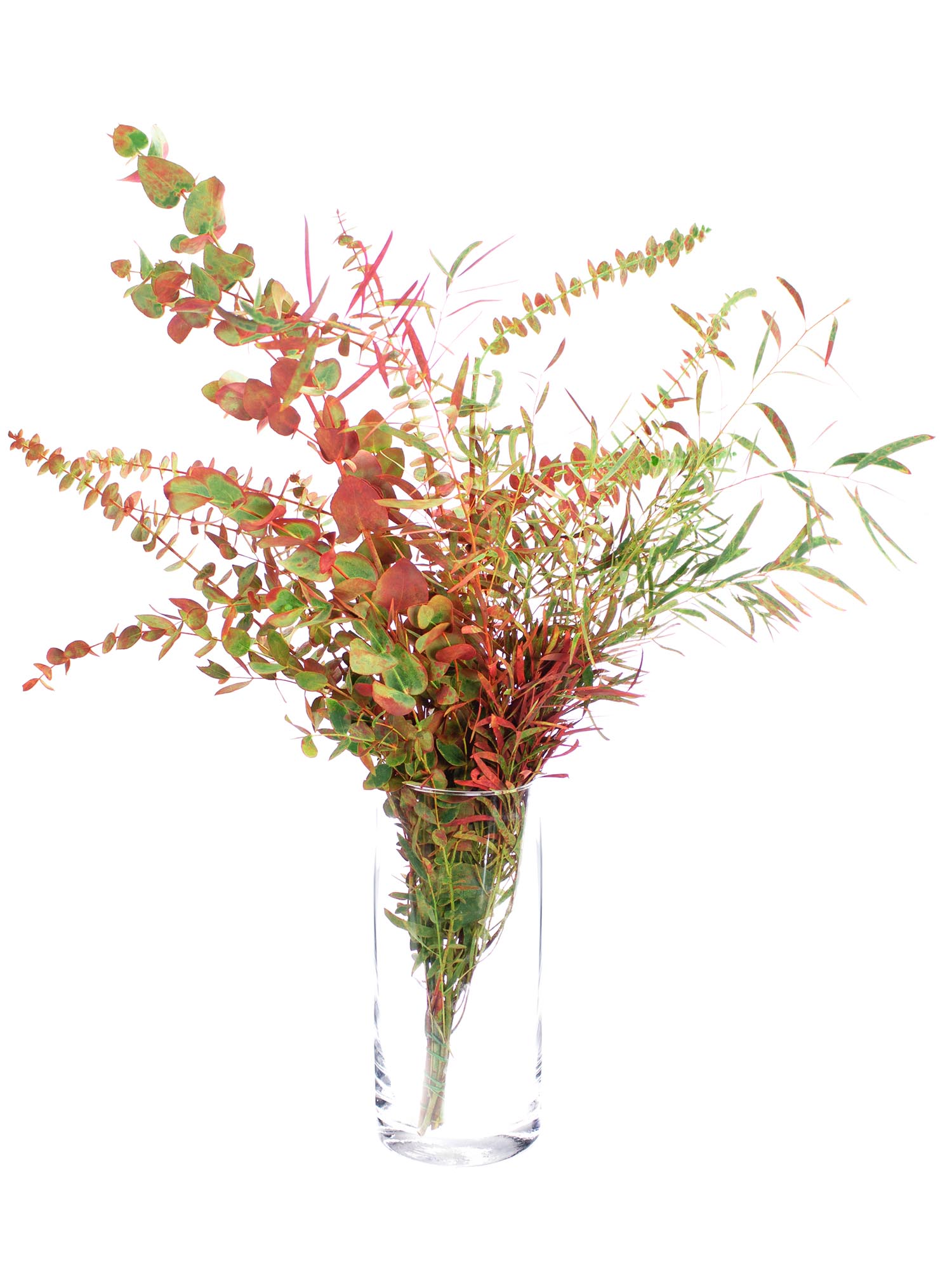 blumigo-eukalyptus-gemischt-herbstfarben-strauss-frisch image 2