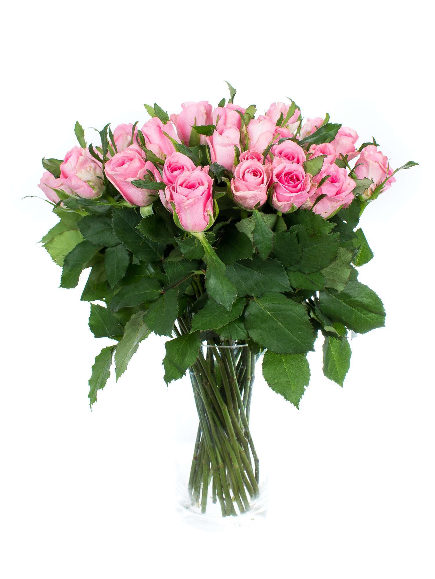 blumigo-rosen-eliza-schnittrosen-rosa-st-ck image 2