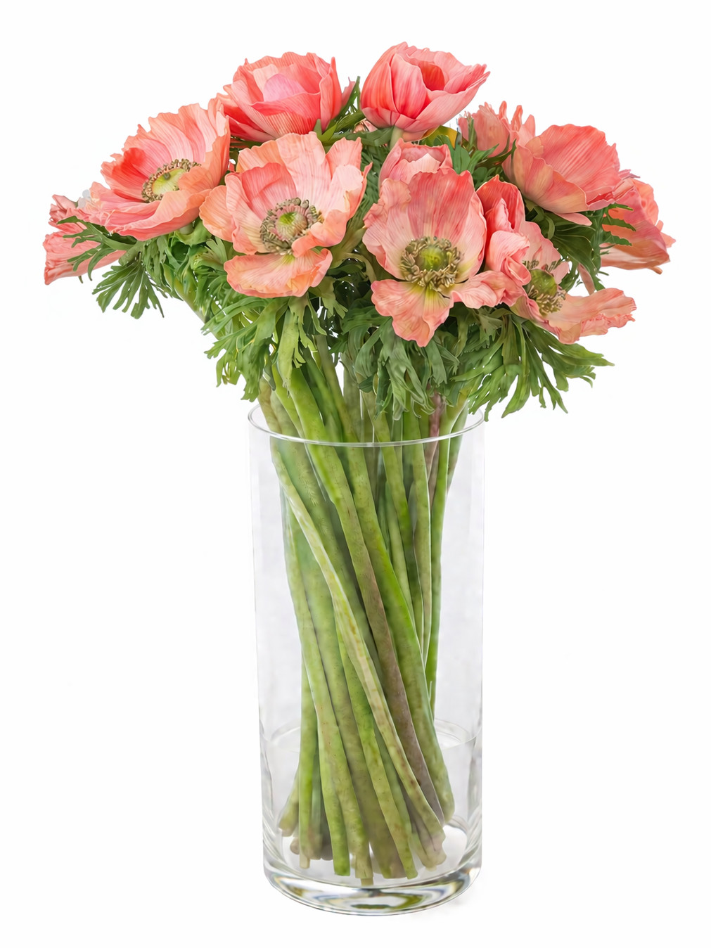blumigo-anemonen-carmel-barie-schnittblumen-rosa-lachs image 2