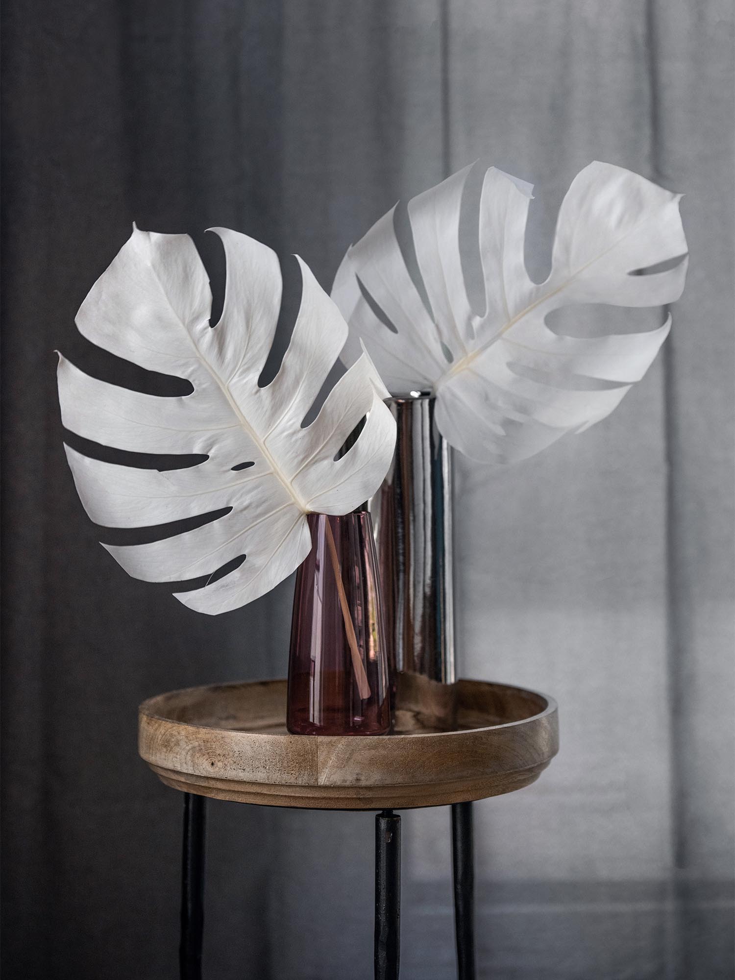 blumigo-trockenblumen-monstera-getrocknet-gebleicht-wei image 4