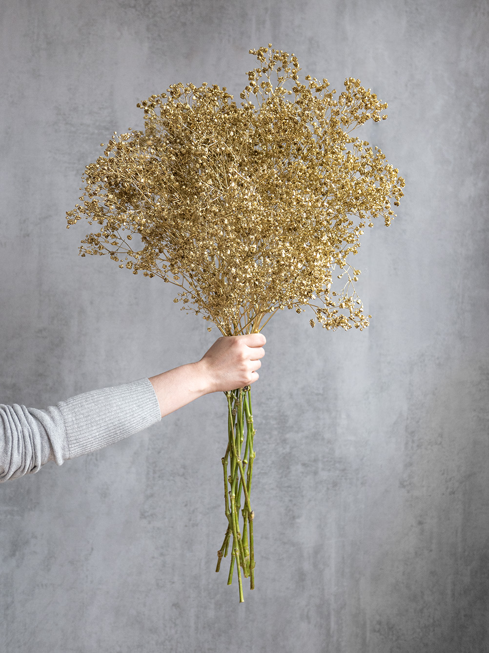 blumigo-schleierkraut-painted-trockenblumen-gold image 4
