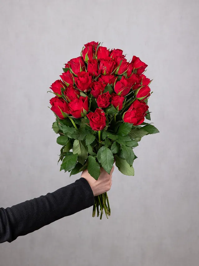 blumigo-rosen-30-rote-rosen-essential-strau image 1