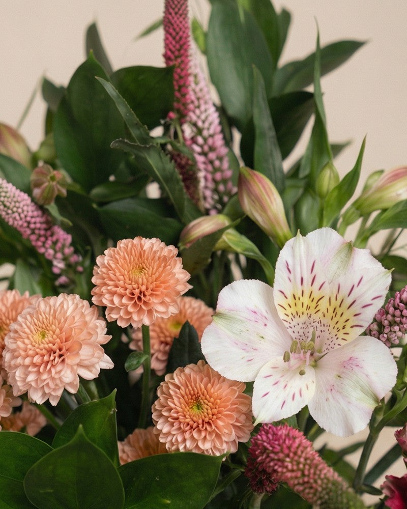 feey-rilio-wilde-seele-blumenstrau-pink-classic-nelken image 2