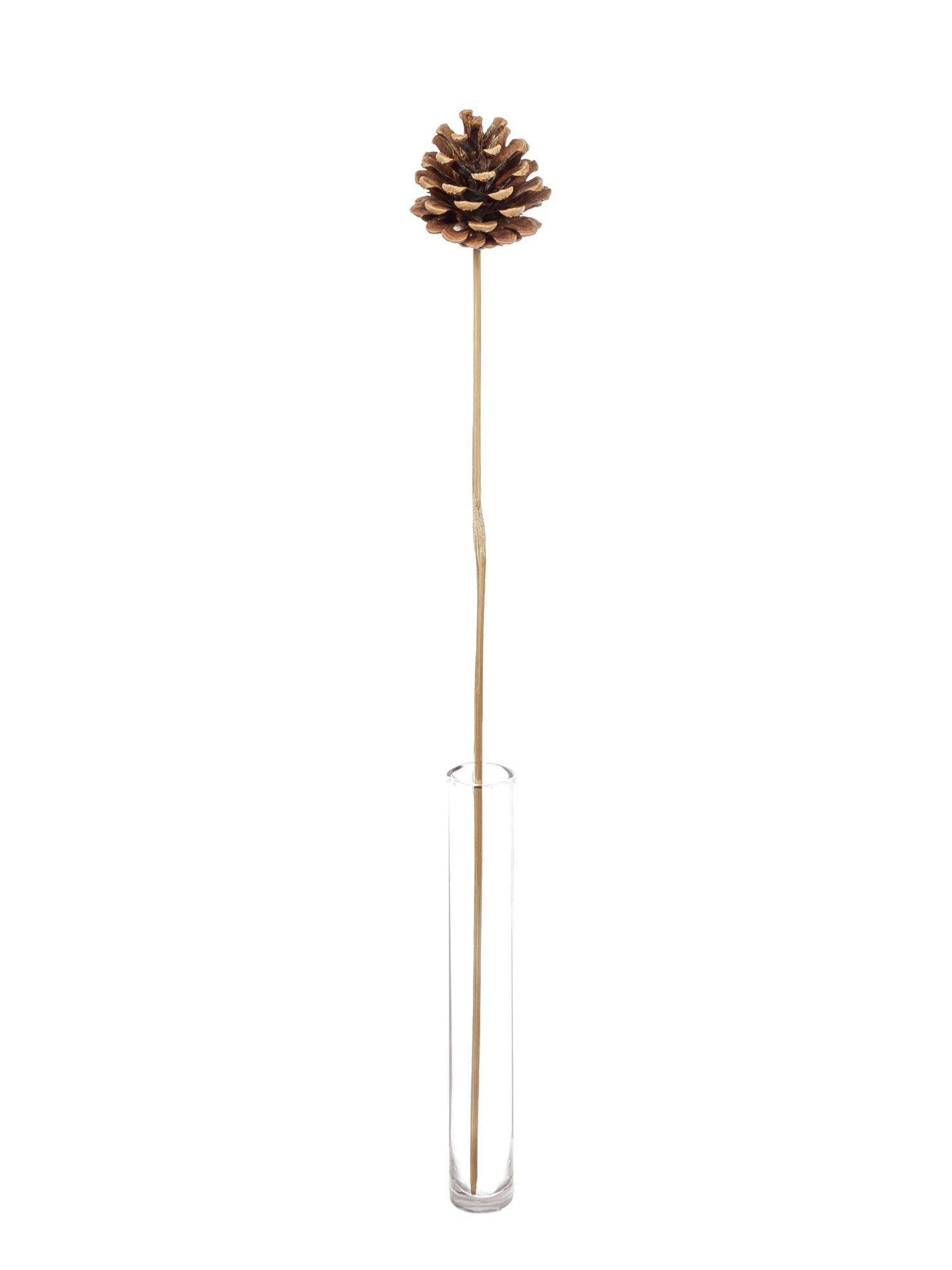 blumigo-herbstdeko-zapfen-am-stab-natur-dekostecker image 3