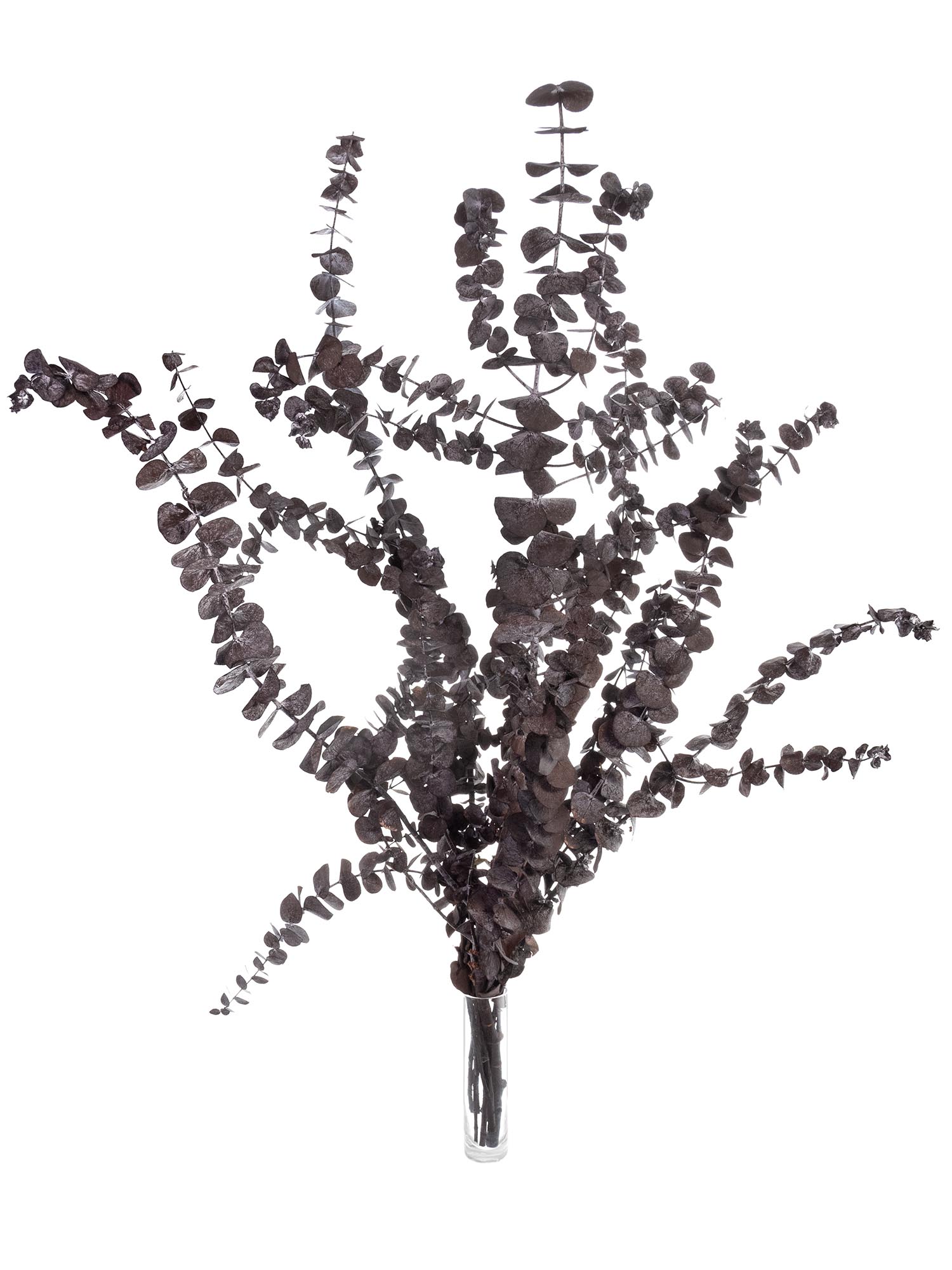 blumigo-trockenblumen-eukalyptus-baby-blue-bund-bordeaux image 2