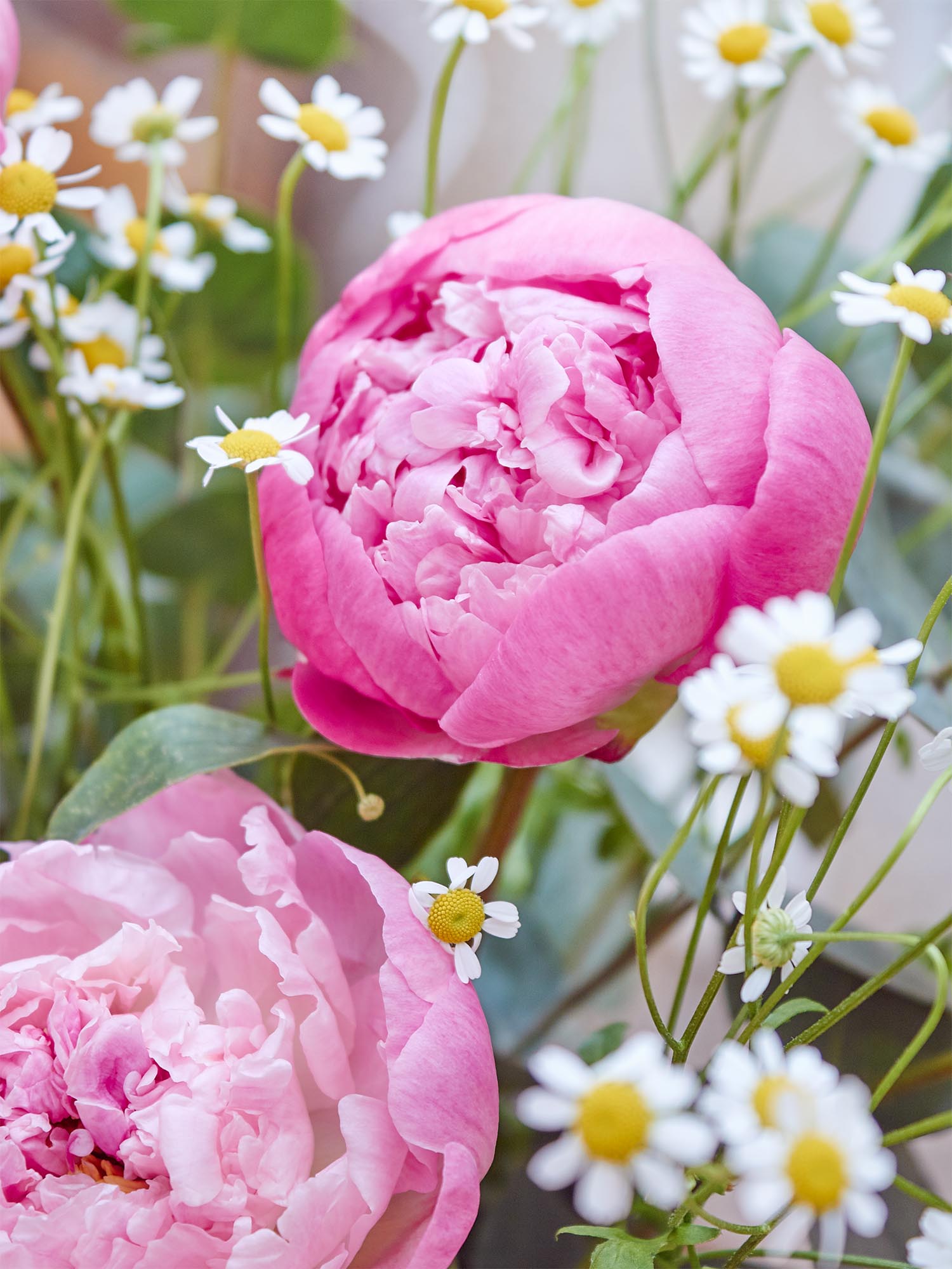 blumigo-pink-lady-diy-bouquet-blumenstrau-rosa image 4