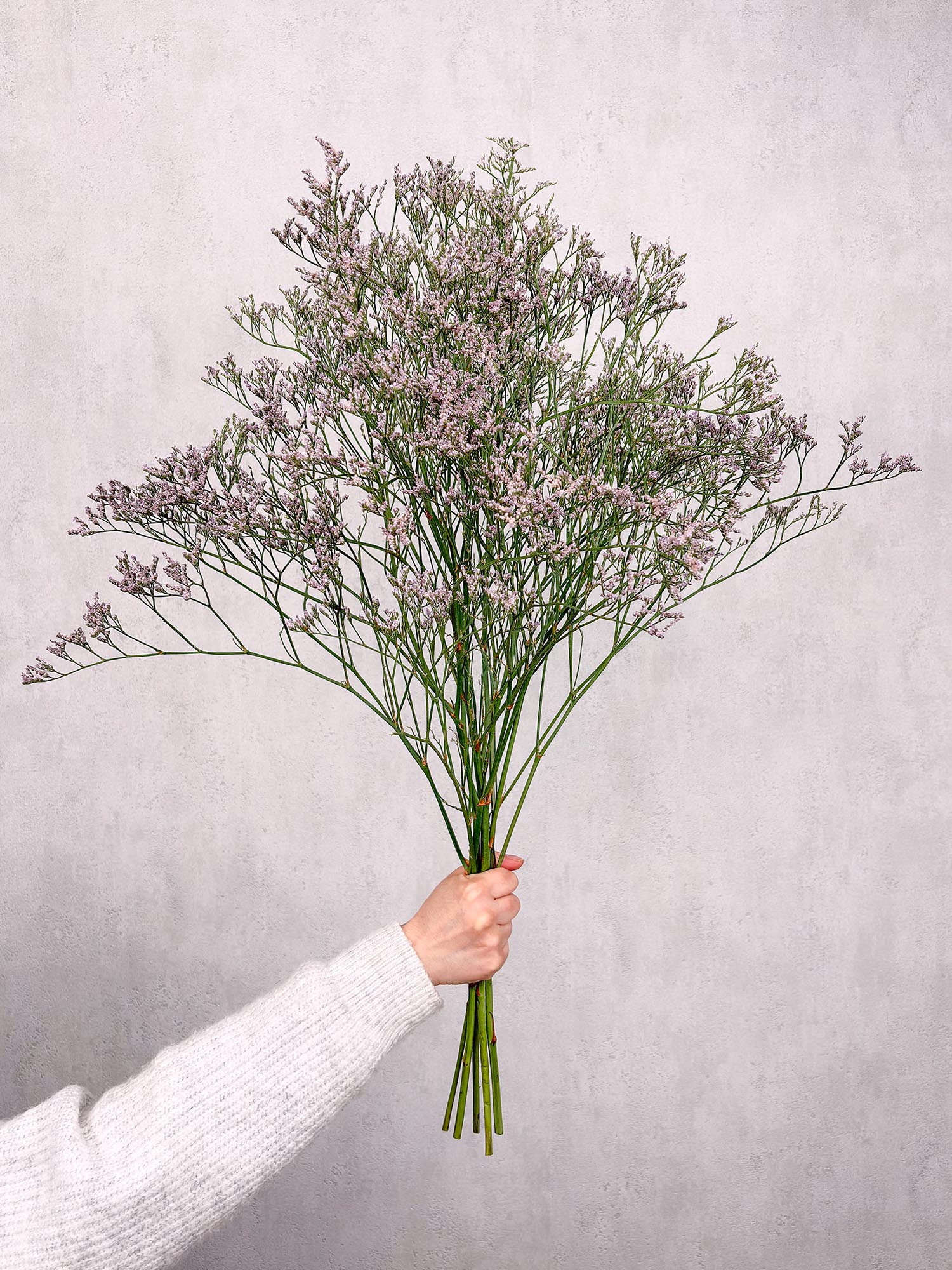 blumigo-strandflieder-pink-emile-schnittblumen-rosa-statice image 2