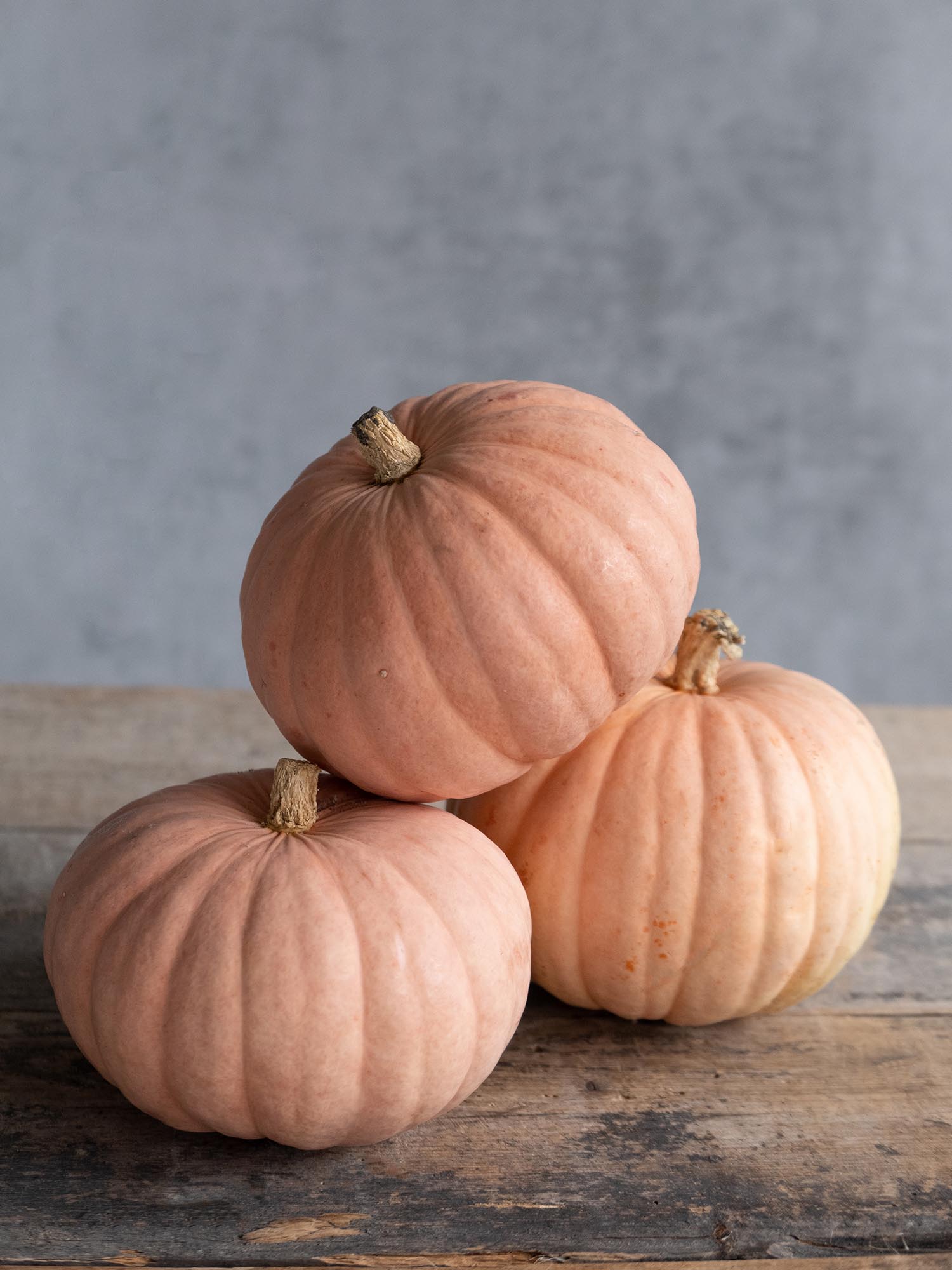 blumigo-herbstdeko-zierk-rbis-miss-sophie-apricot image 4