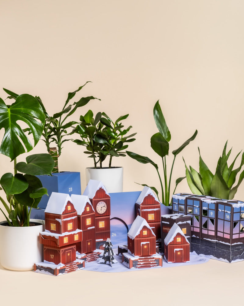 feey-variado-dschungel-extra-adventskalender-abendblau-3-pflanzen image 3