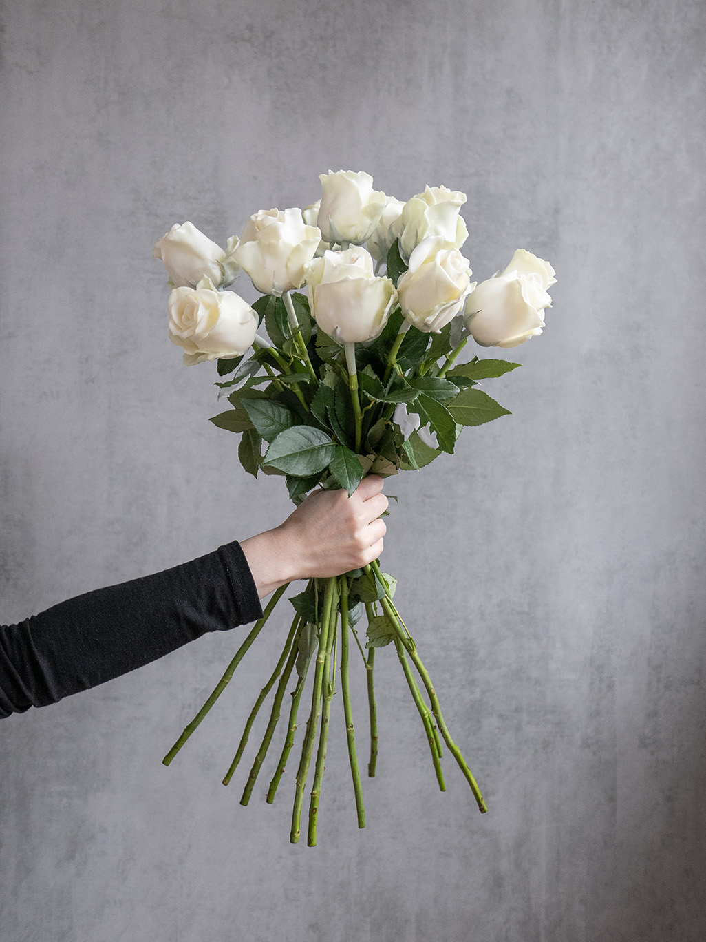 blumigo-rosen-gewachst-wachsrosen-wei-haltbar image 5