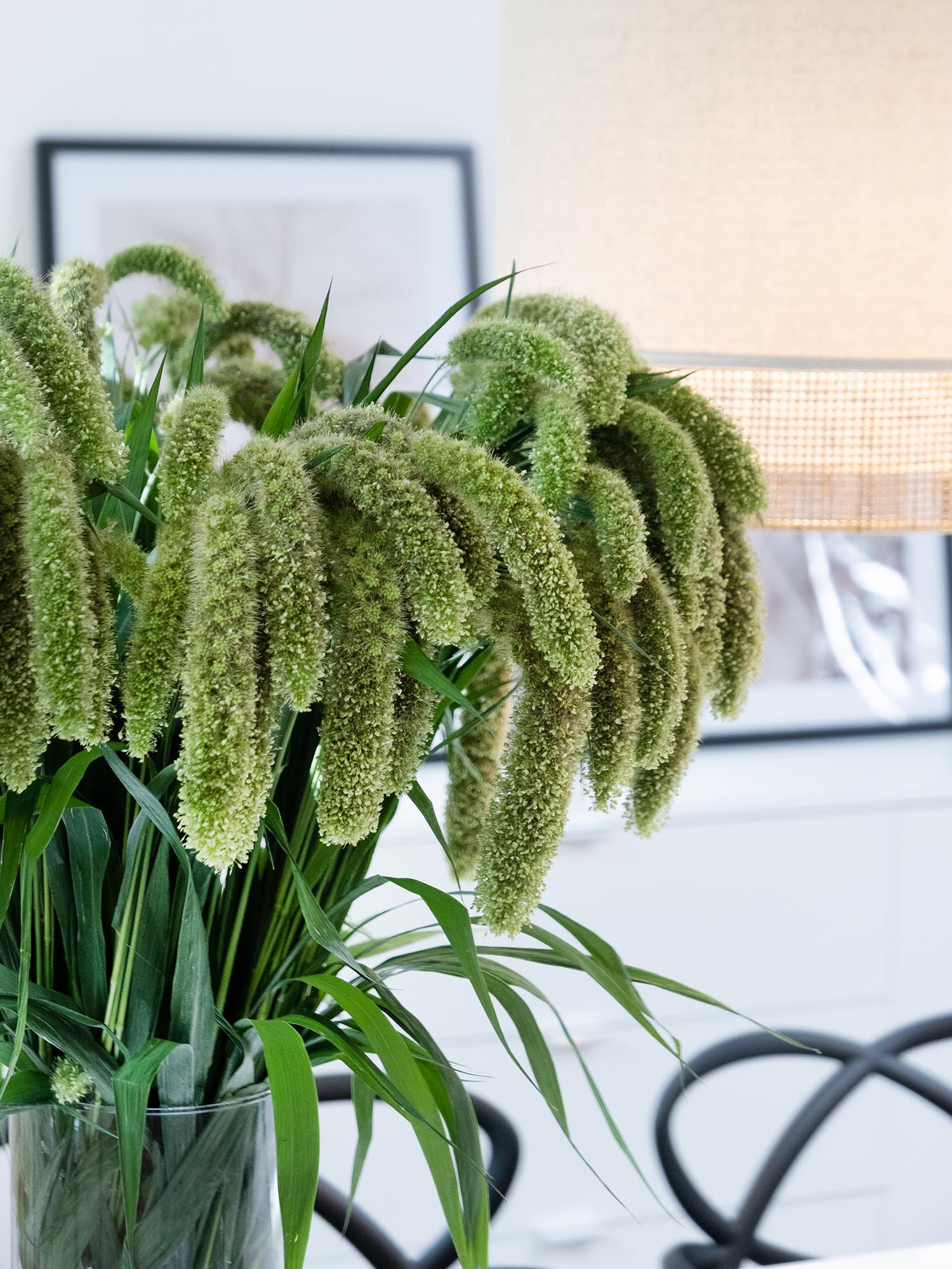 blumigo-blattwerk-setaria-volle-melk-bindegr-n-gr-n image 2