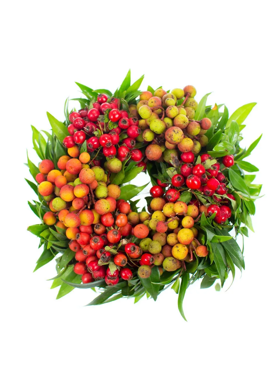 blumigo-herbstdeko-zierfruchtkranz-12-cm-herbstlich image 1