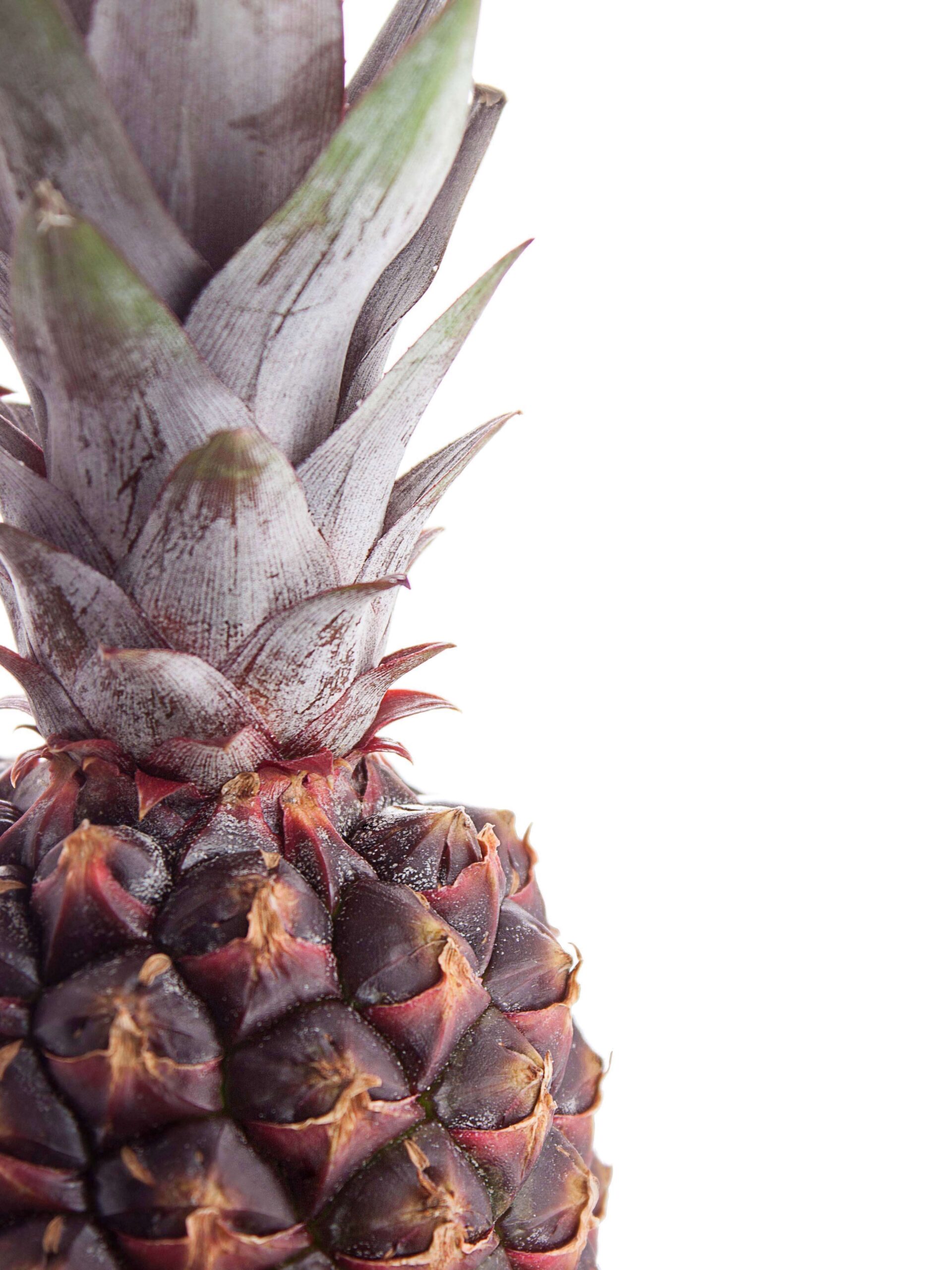 blumigo-herbstdeko-zierananas-schwarz-braun-frucht image 4